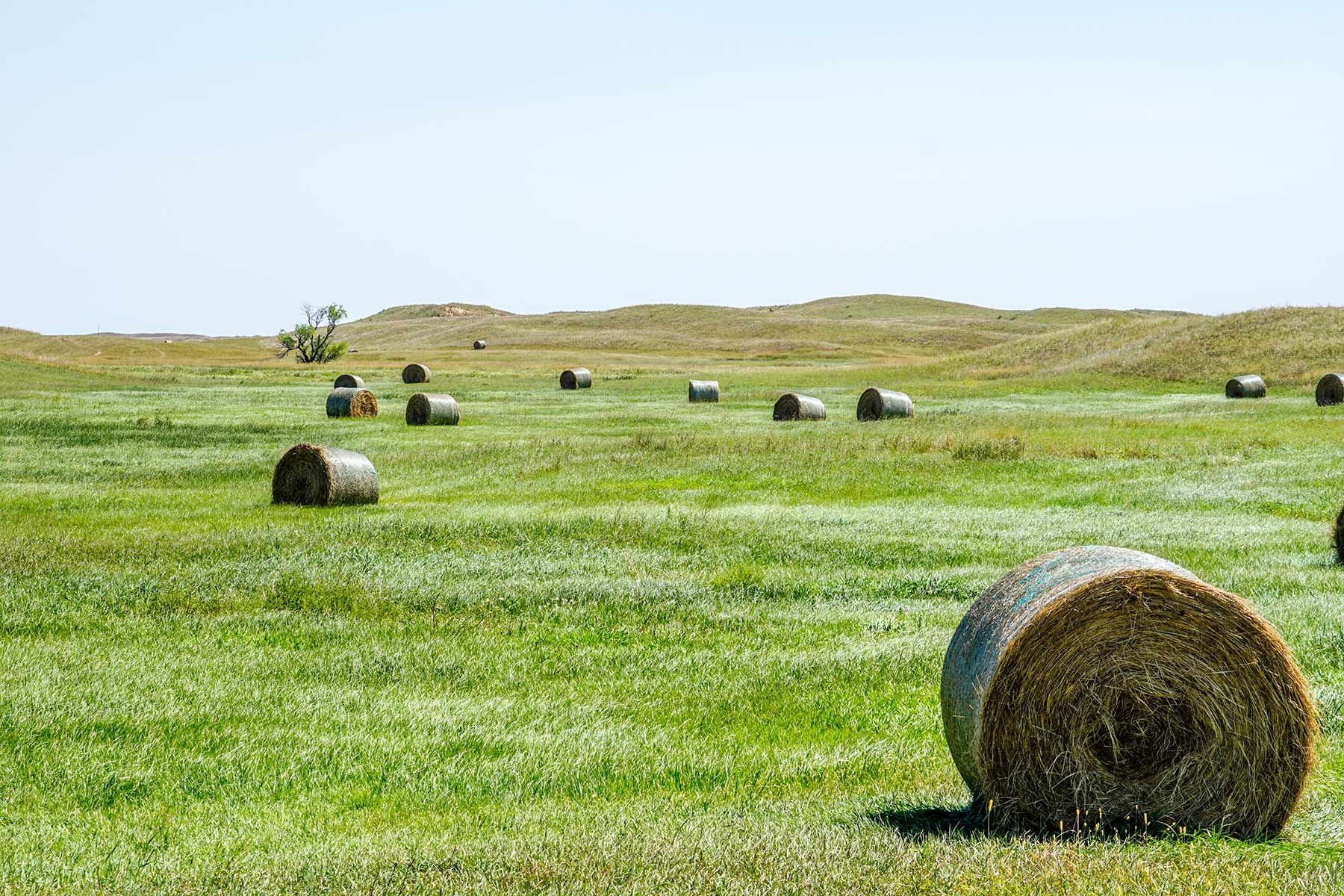 WM Zutavern Ranch property picture 5 of 53