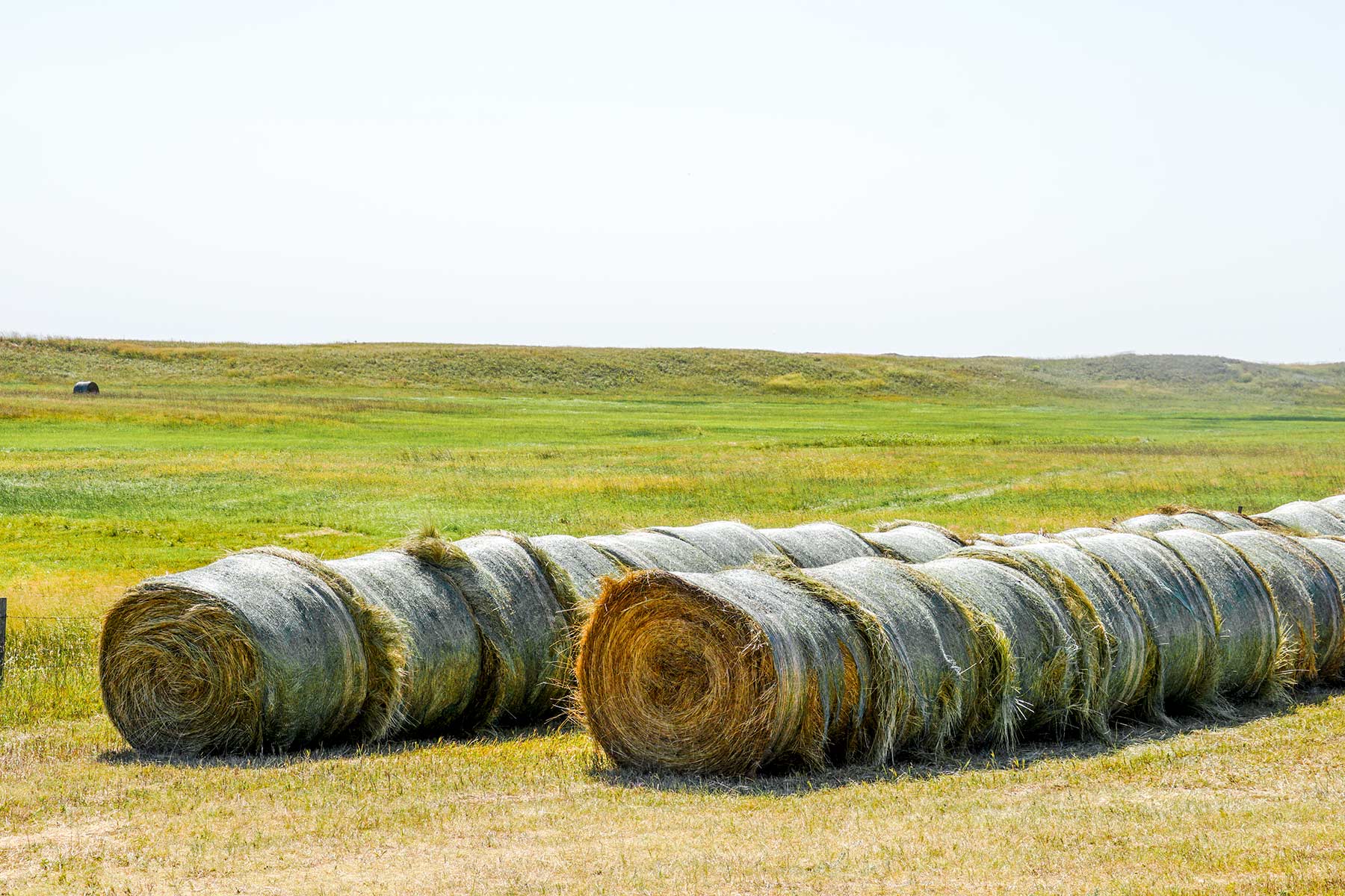 WM Zutavern Ranch property picture 19 of 53
