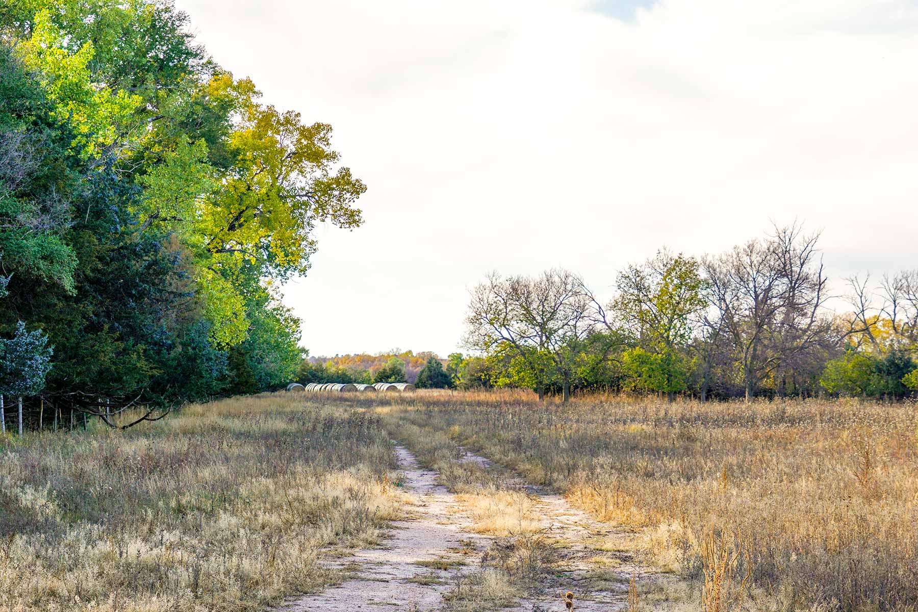WM Zutavern Ranch property picture 50 of 53