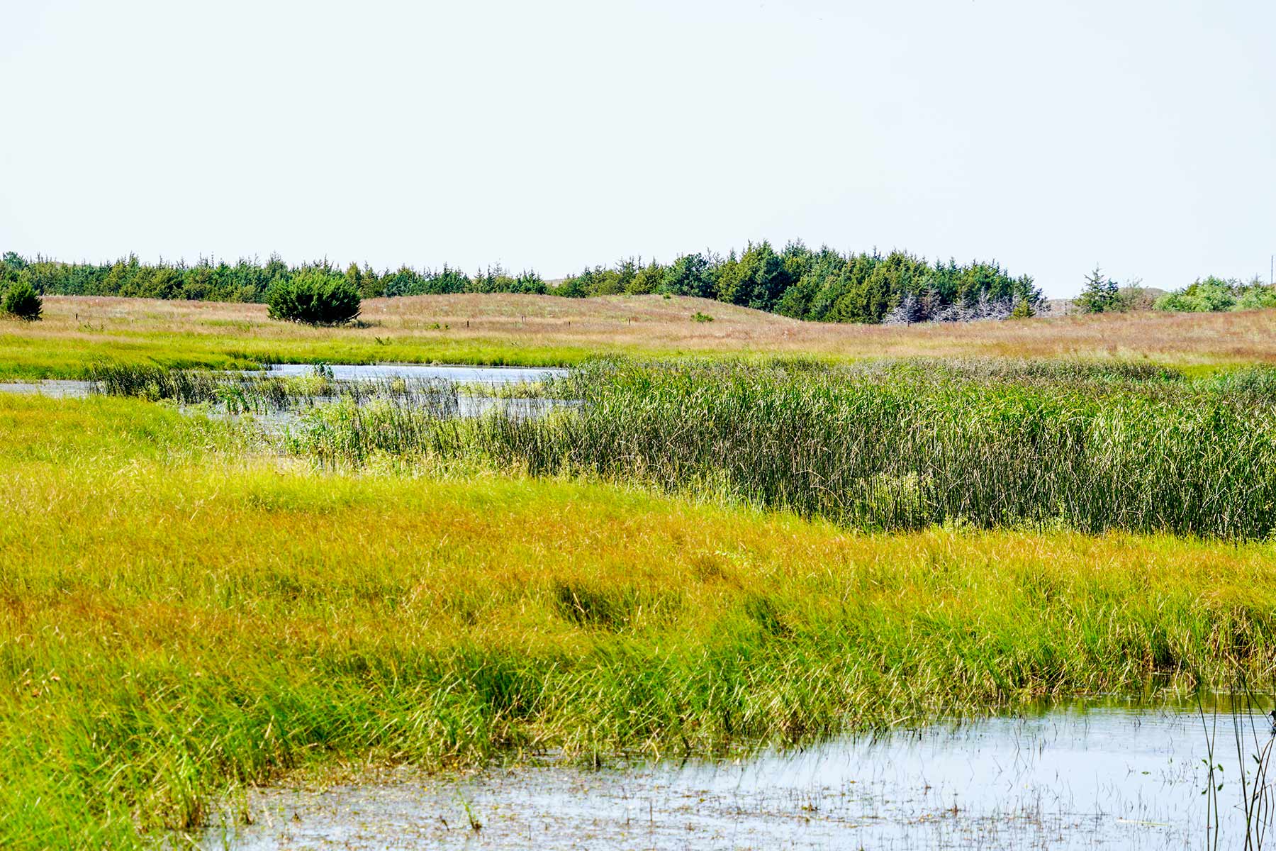WM Zutavern Ranch property picture 42 of 53