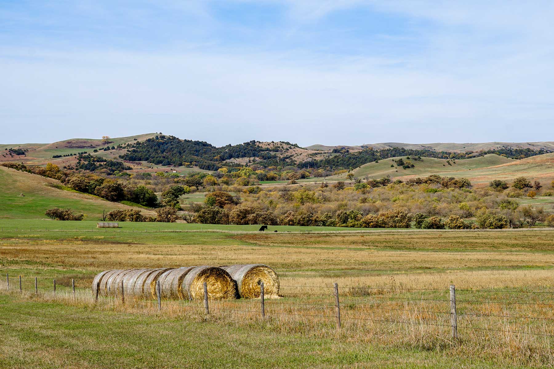 Majestic Ranch property picture 57 of 83