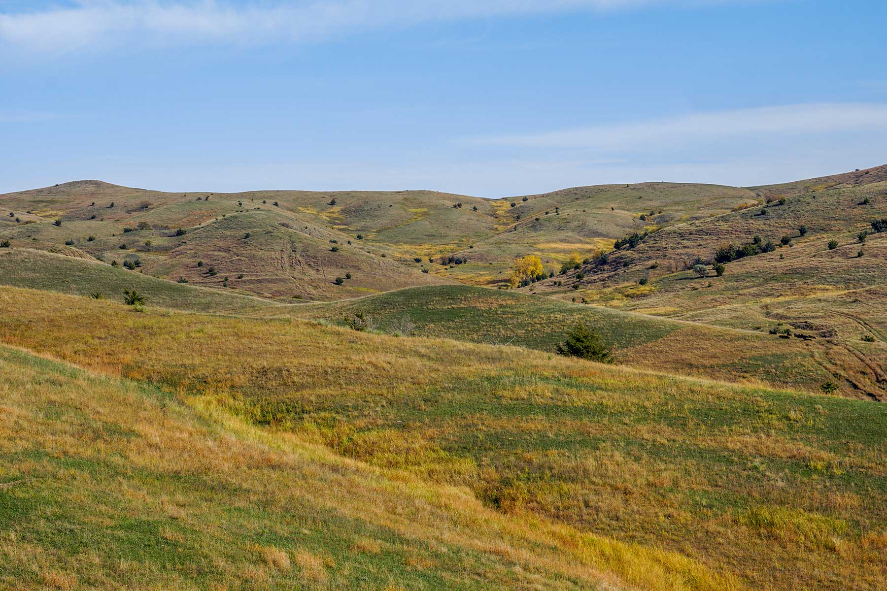 Majestic Ranch property picture 39 of 83