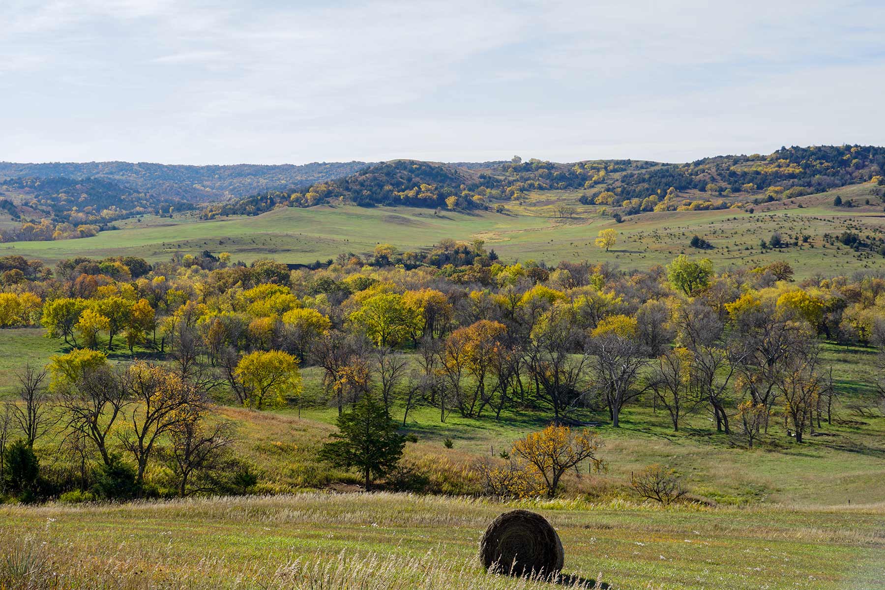 Majestic Ranch property picture 44 of 83