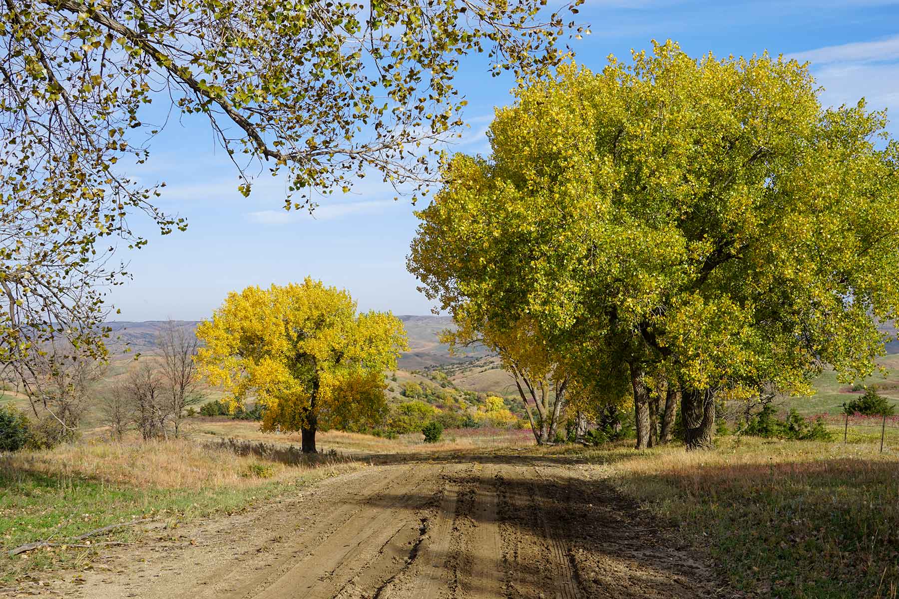 Majestic Ranch property picture 25 of 83