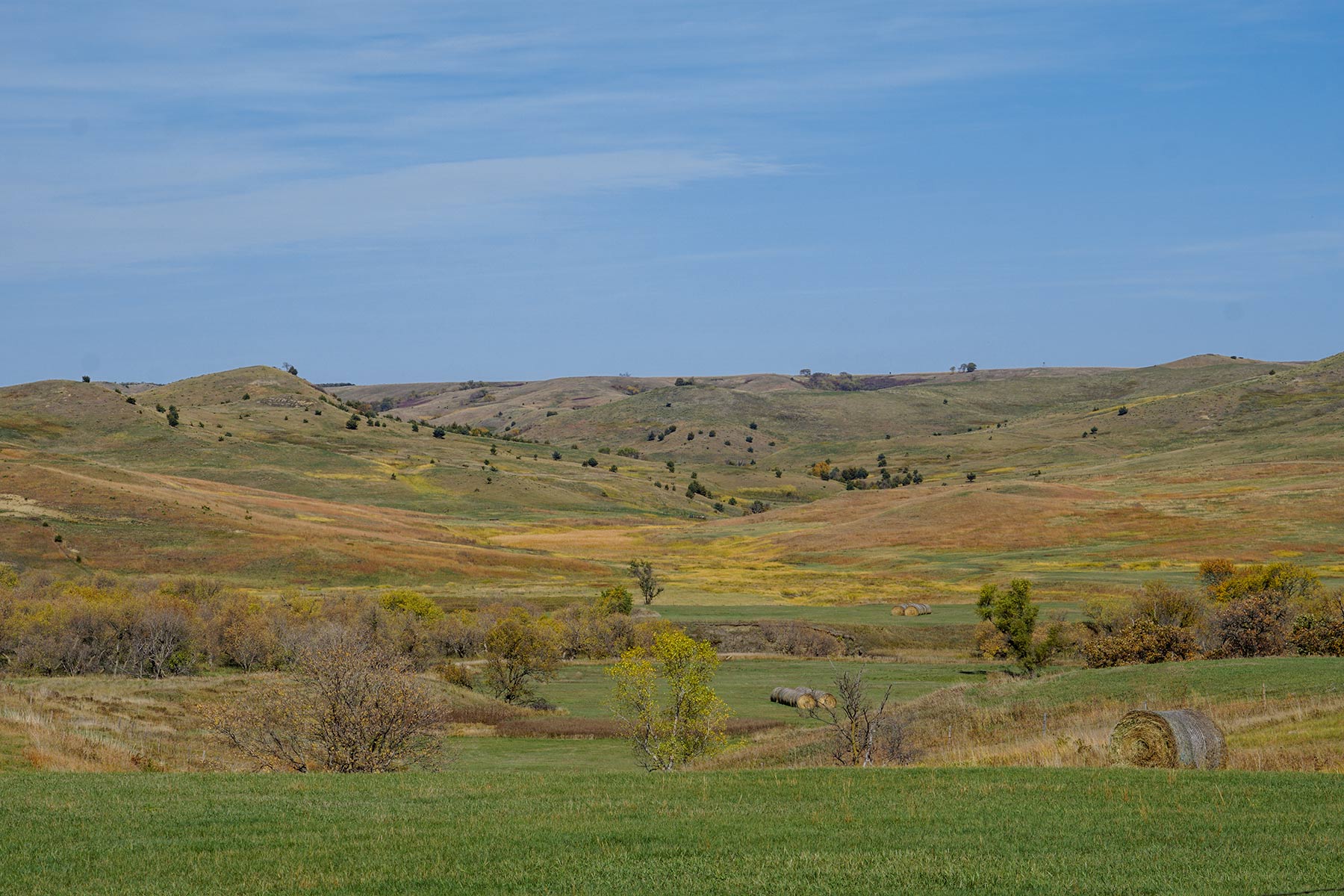 Majestic Ranch property picture 73 of 83