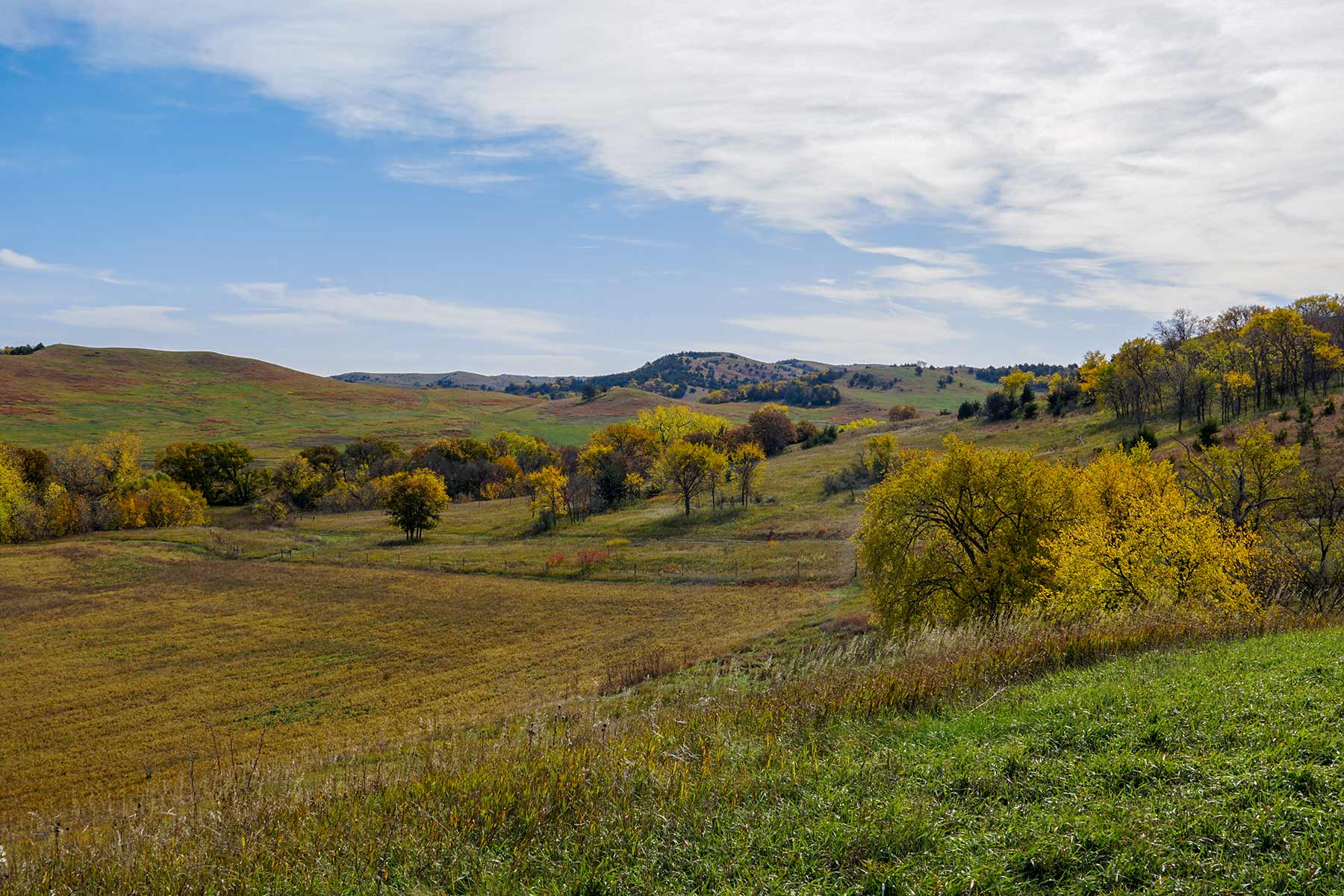 Majestic Ranch property picture 59 of 83