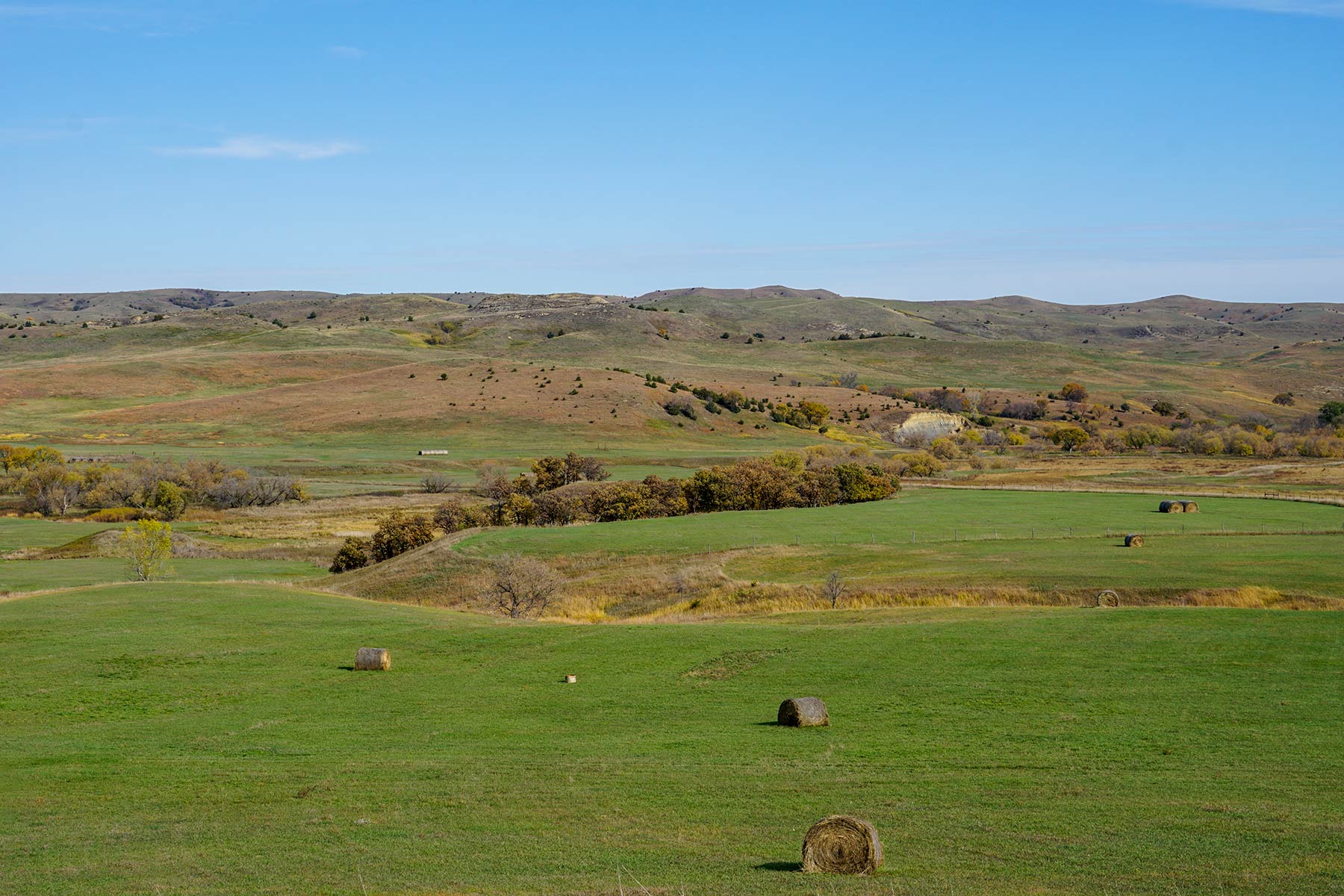 Majestic Ranch property picture 60 of 83