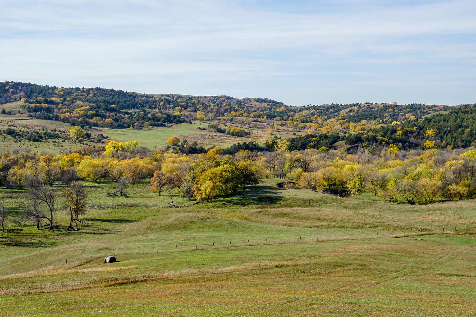 Majestic Ranch property picture 45 of 83