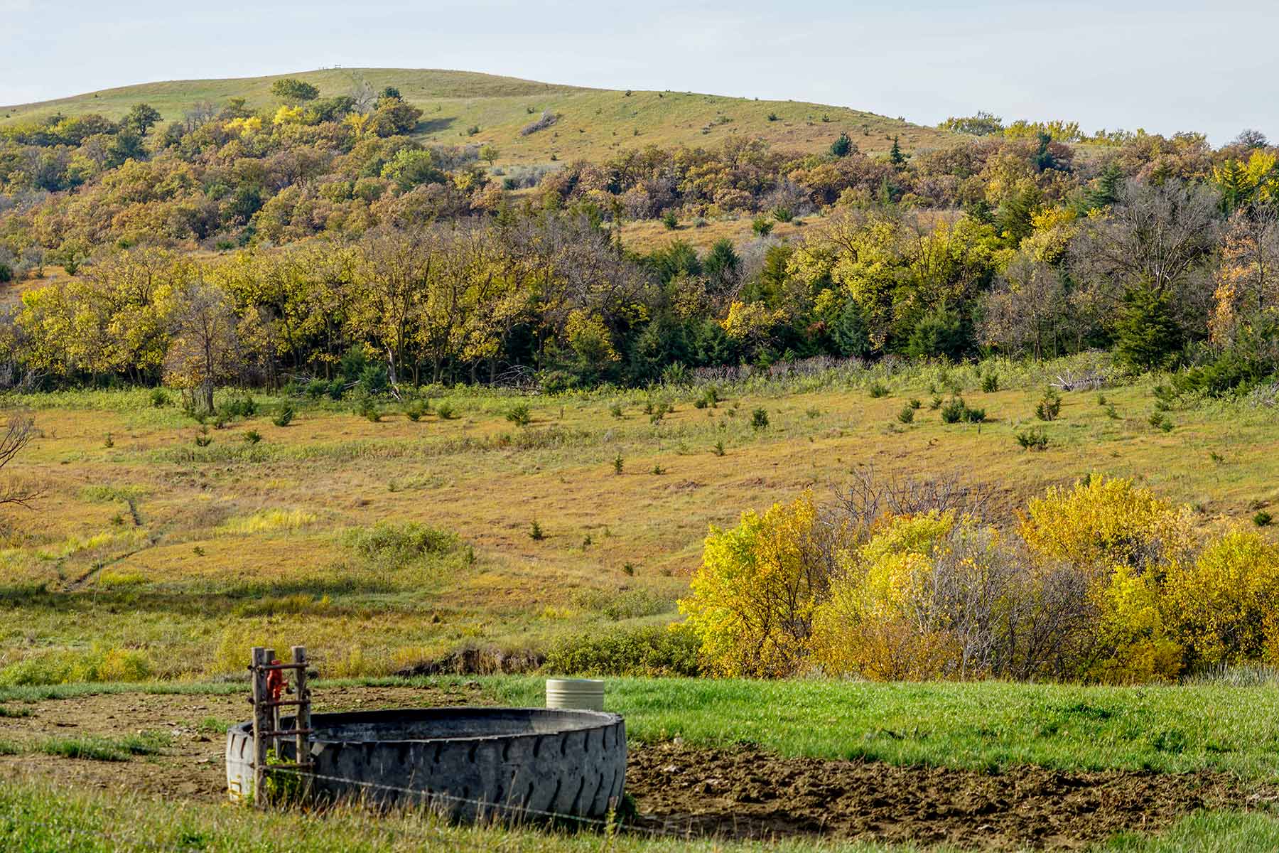Majestic Ranch property picture 27 of 83