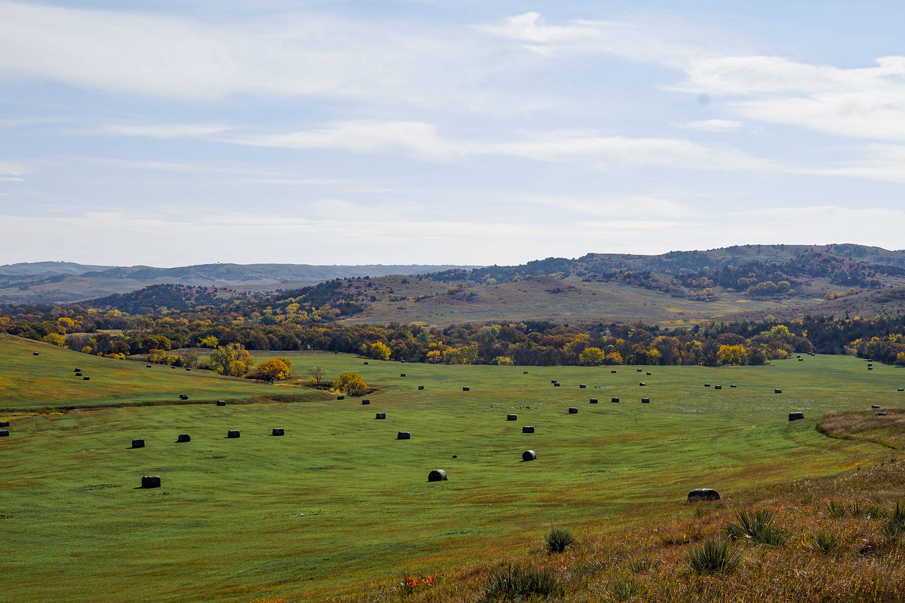 Majestic Ranch property picture 50 of 83