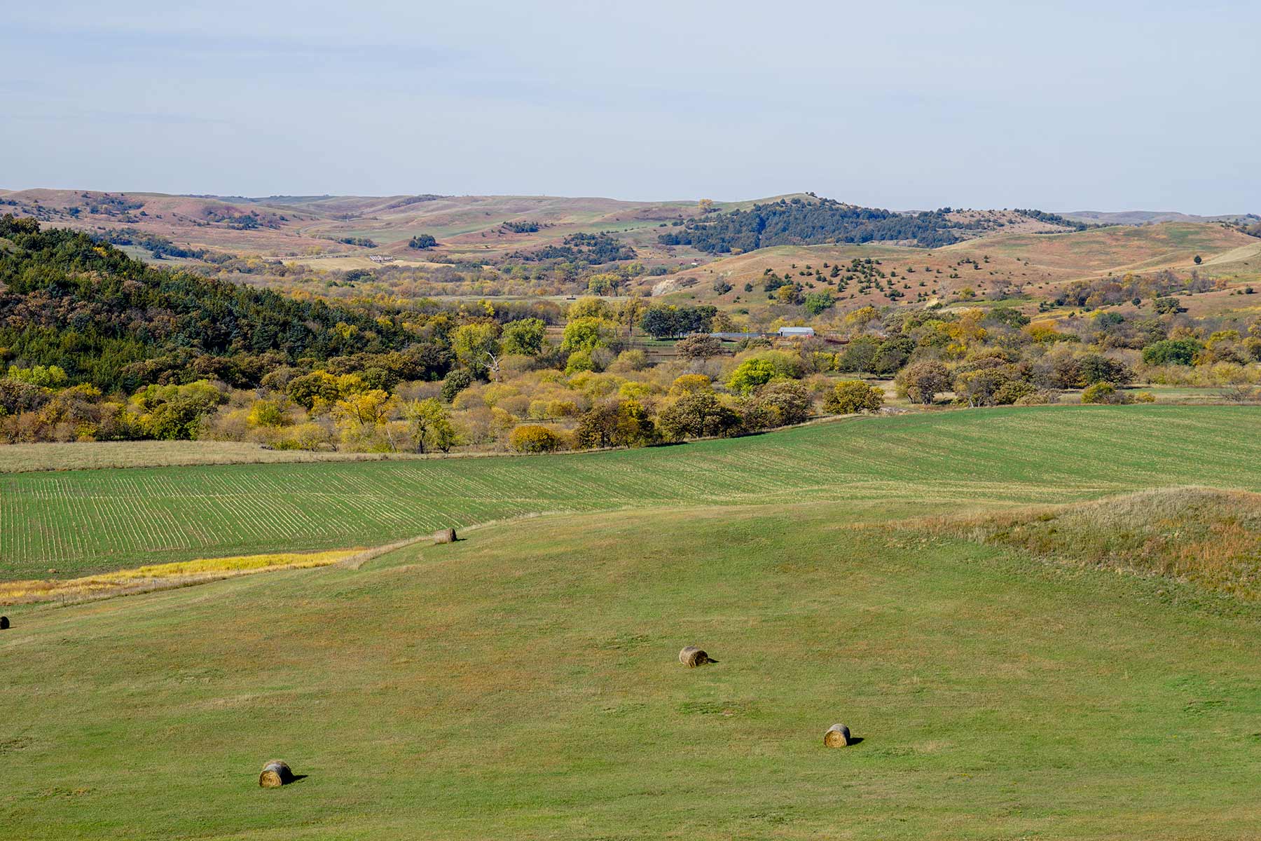 Majestic Ranch property picture 51 of 83