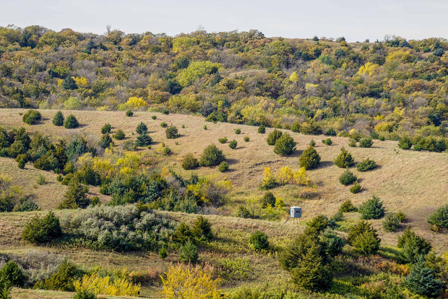 Majestic Ranch property picture 69 of 83