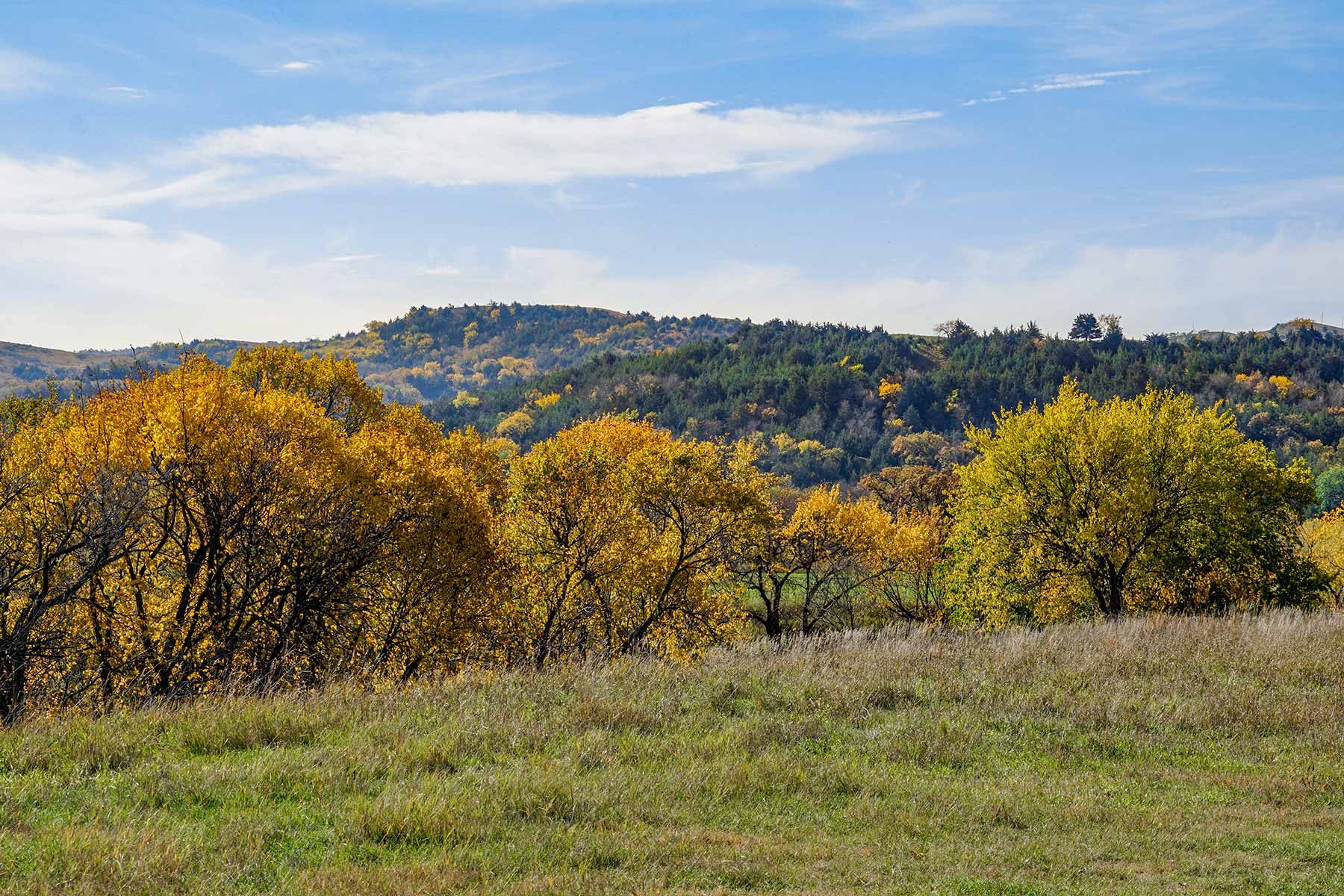 Majestic Ranch property picture 37 of 83