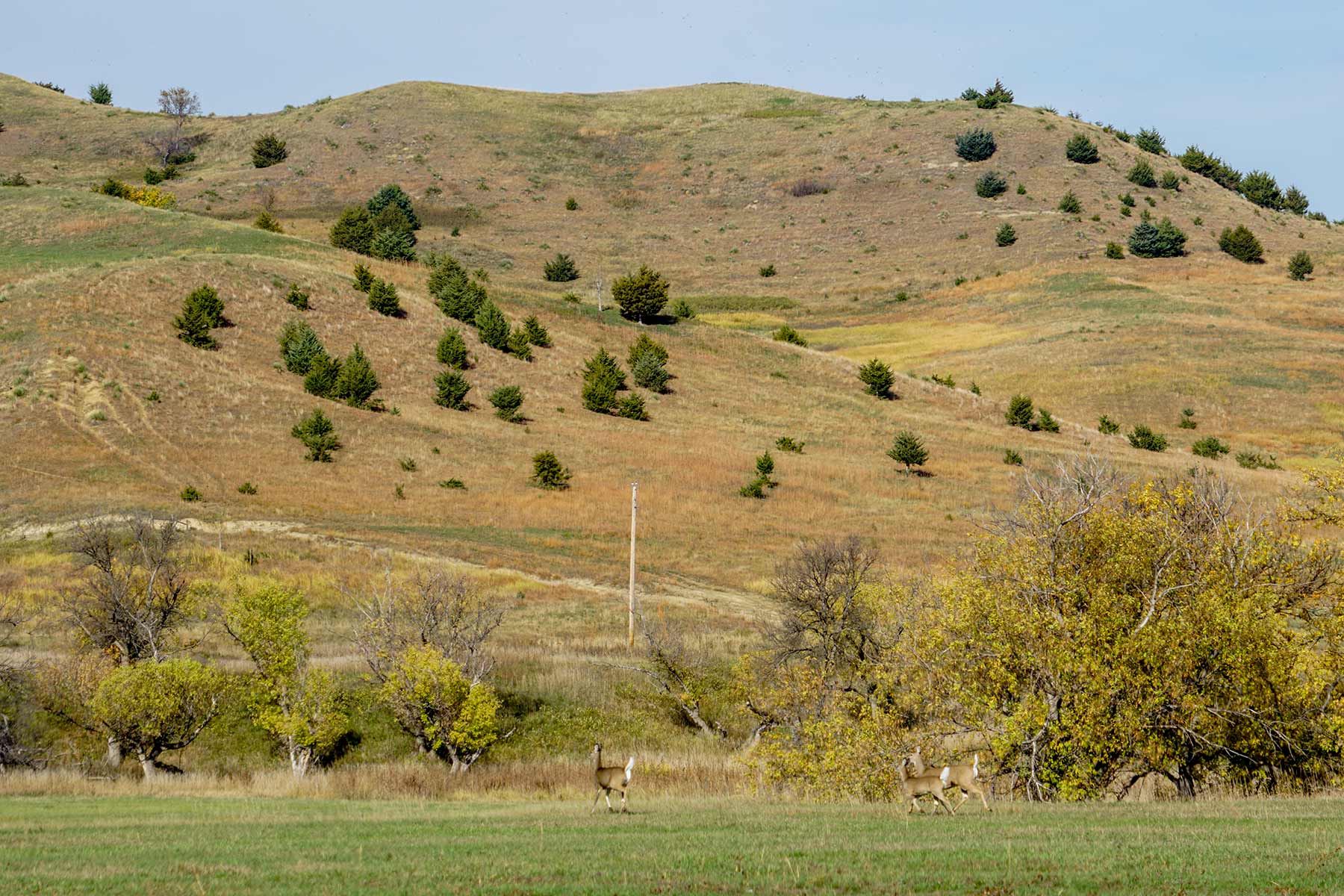 Majestic Ranch property picture 35 of 83