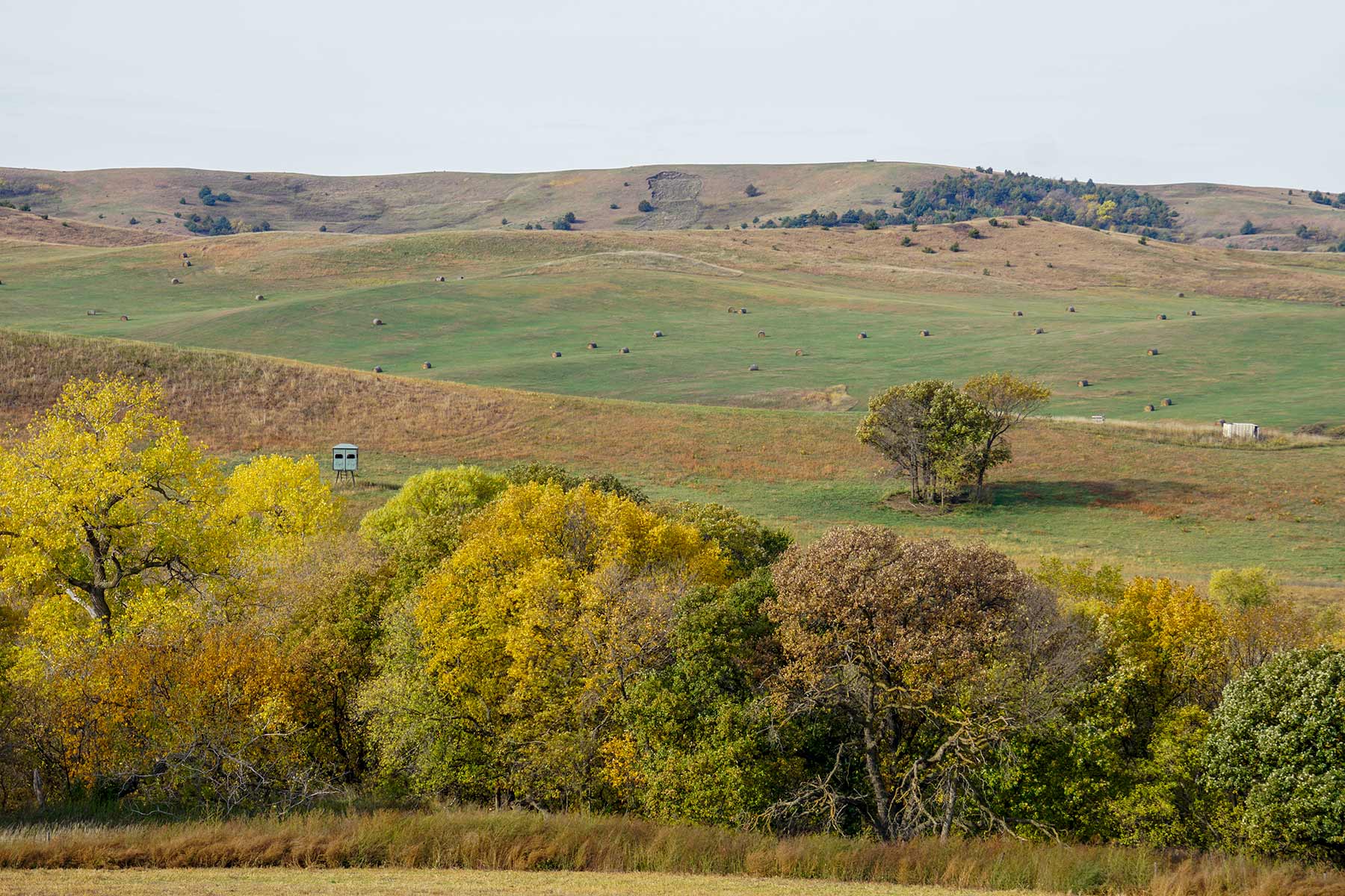Majestic Ranch property picture 31 of 83