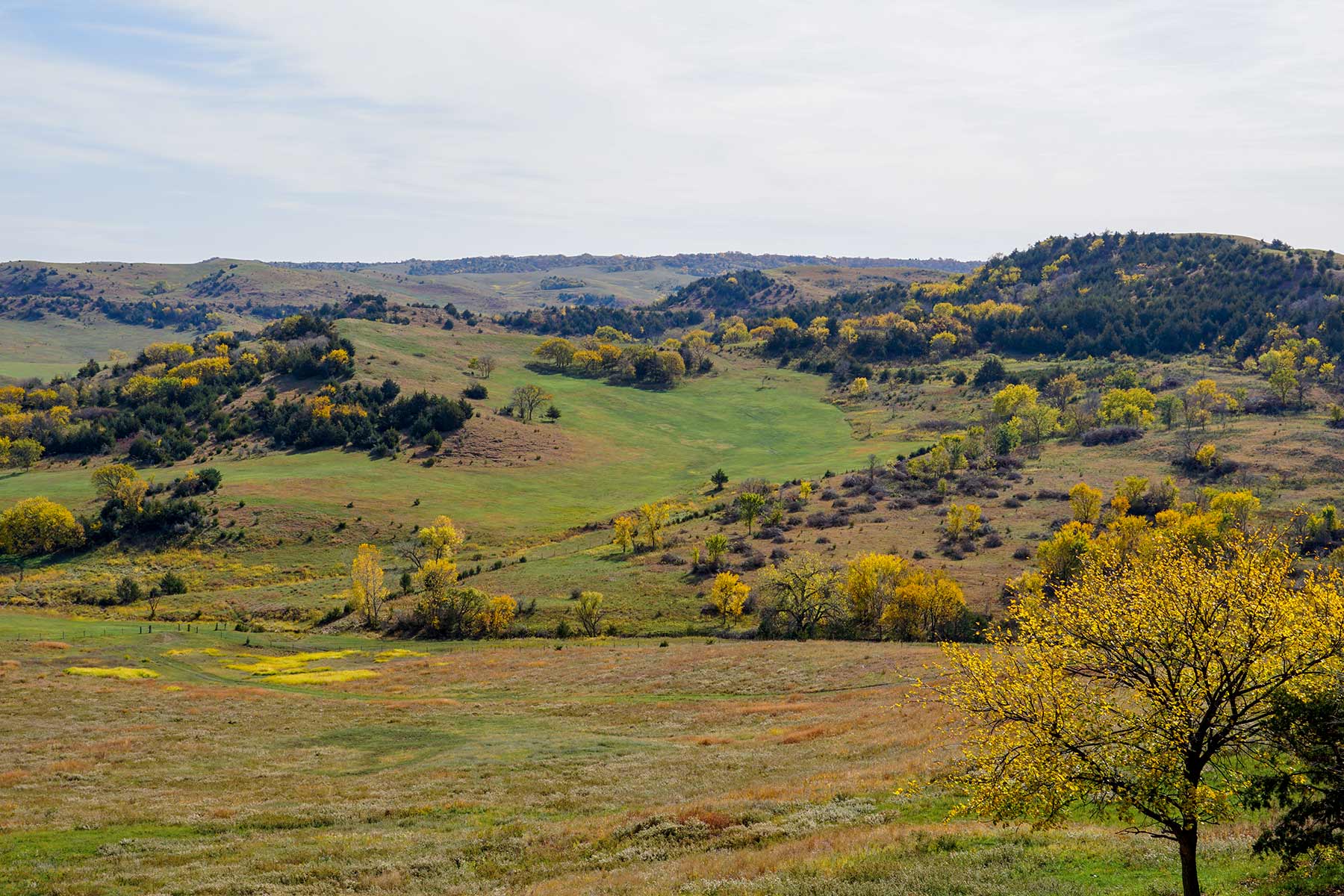 Majestic Ranch property picture 75 of 83