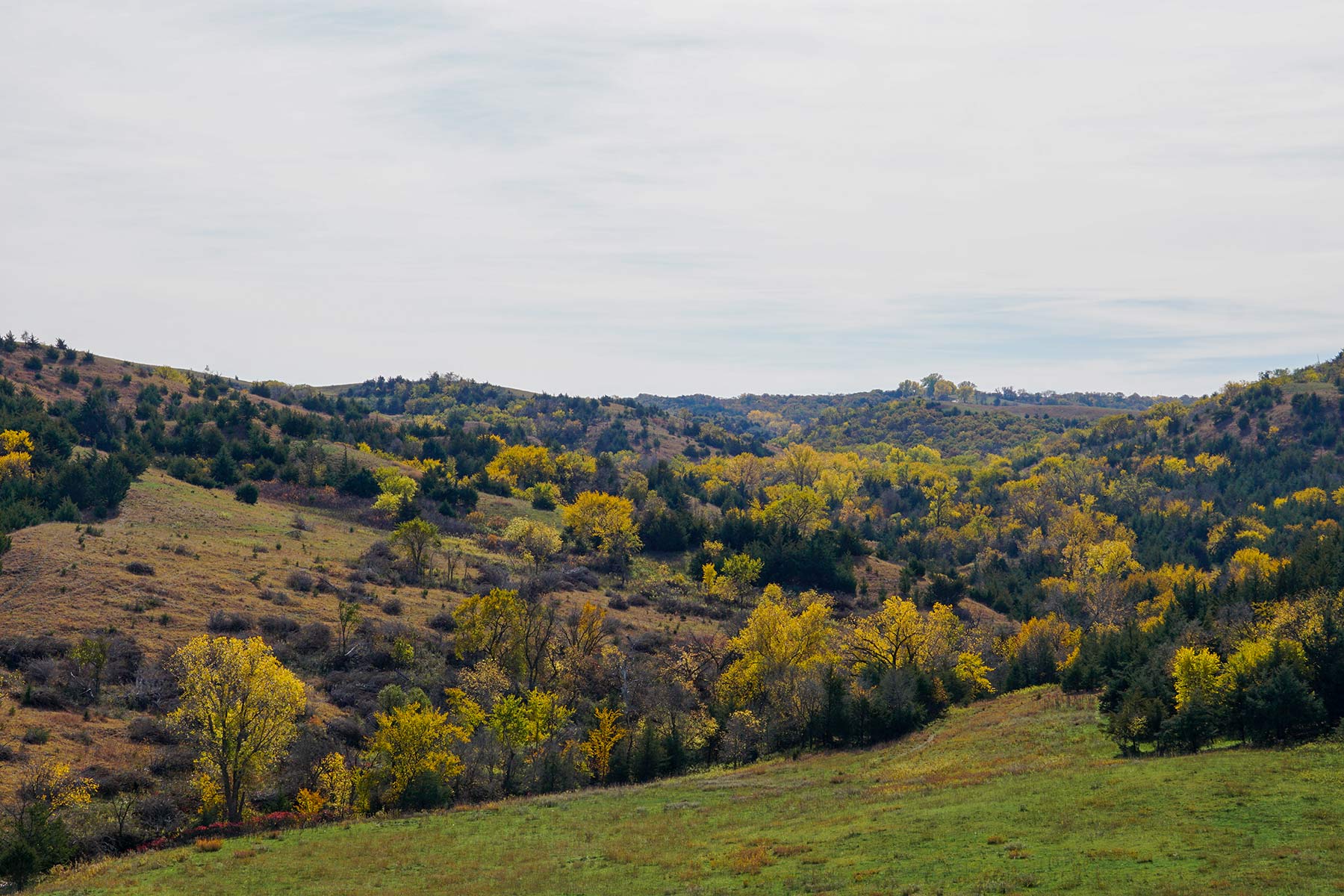 Majestic Ranch property picture 74 of 83