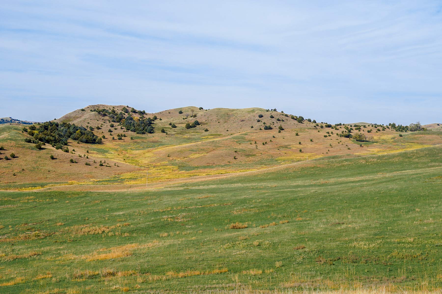 Majestic Ranch property picture 36 of 83