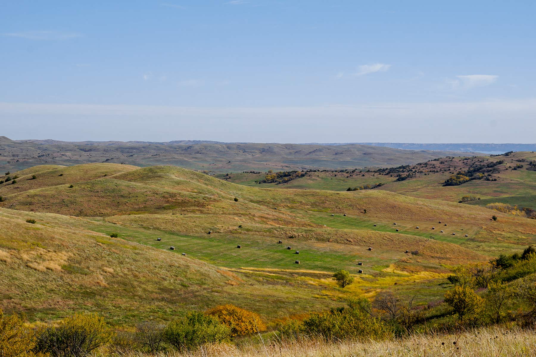 Majestic Ranch property picture 72 of 83