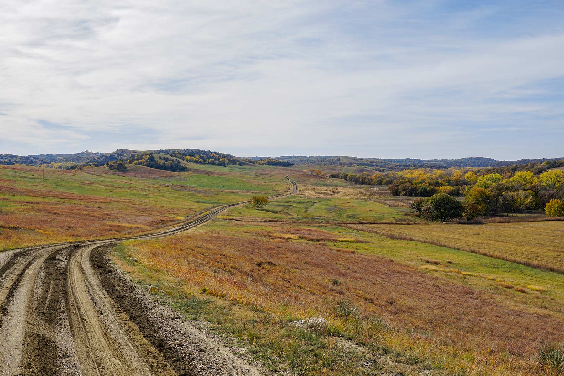 Majestic Ranch property picture 56 of 83