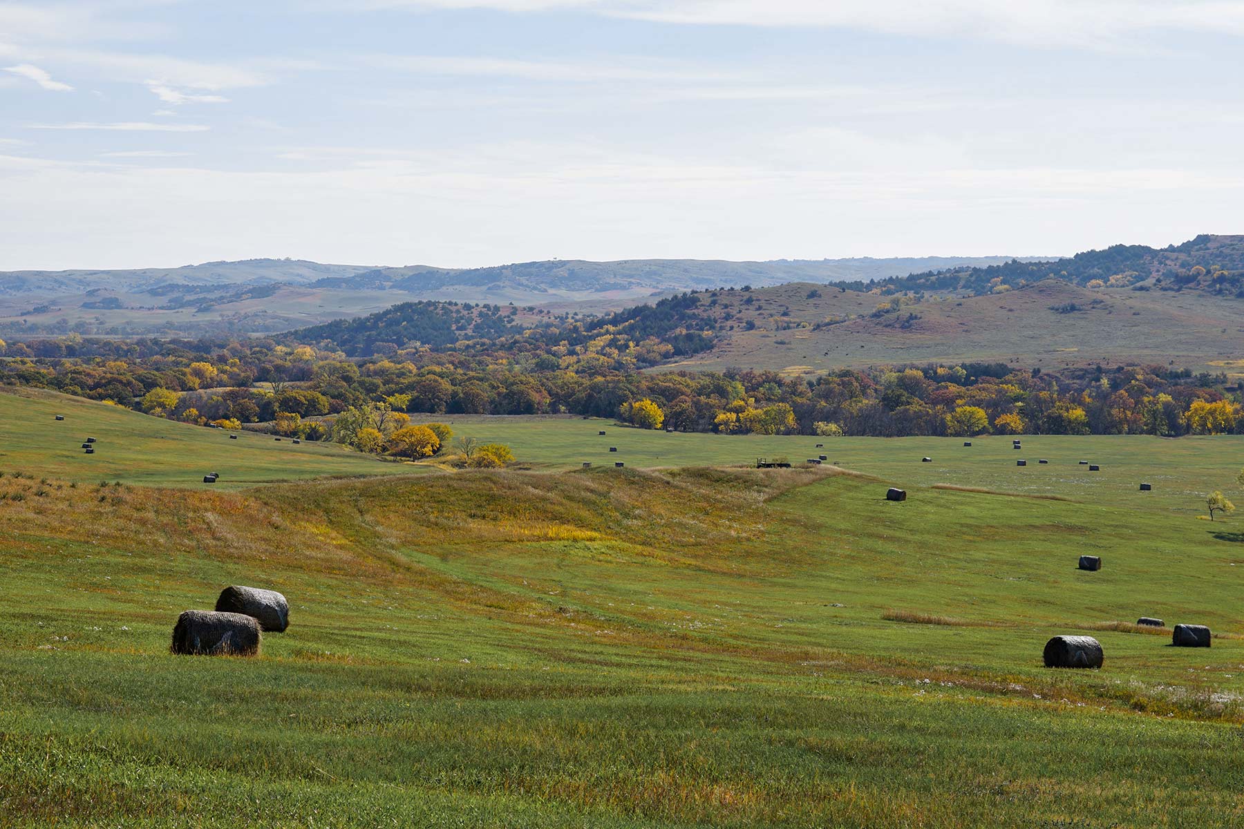 Majestic Ranch property picture 48 of 83