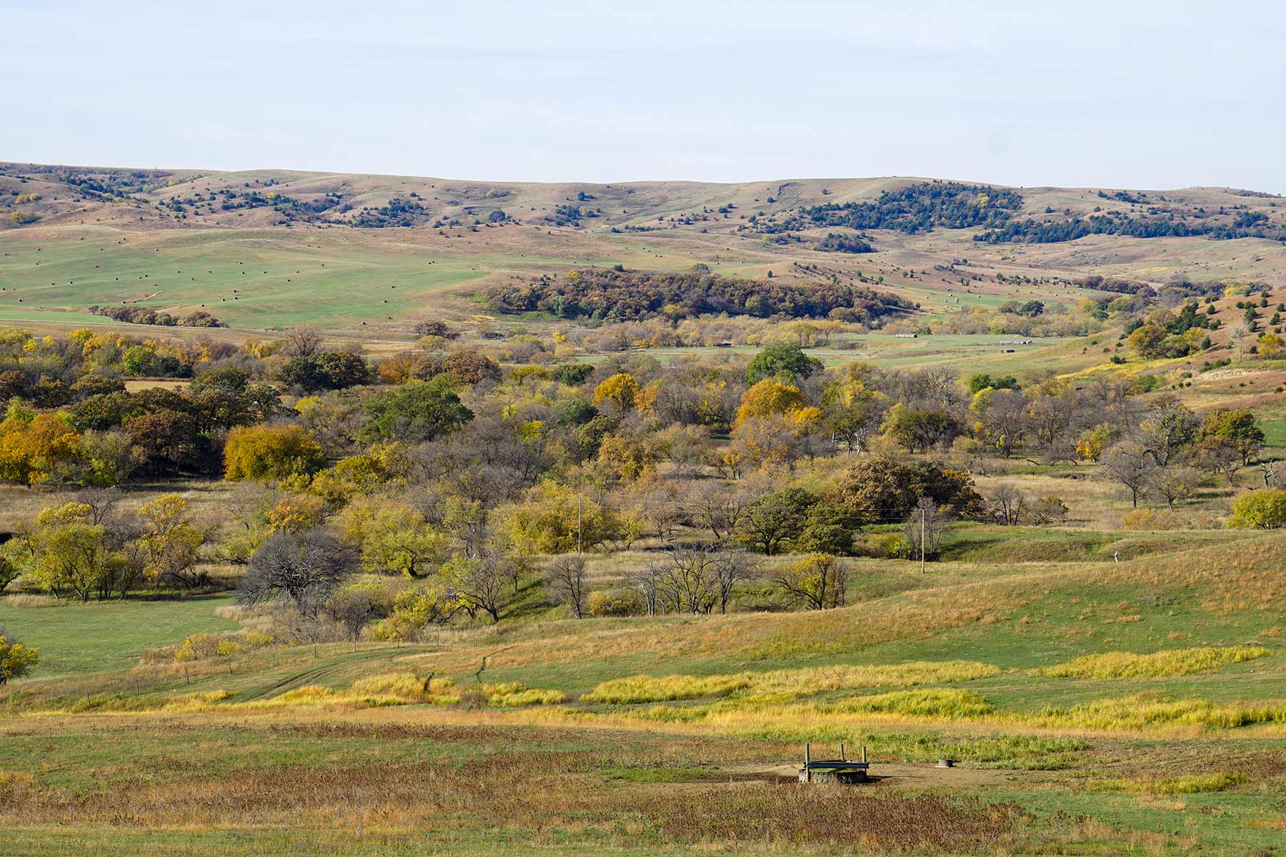 Majestic Ranch property picture 40 of 83