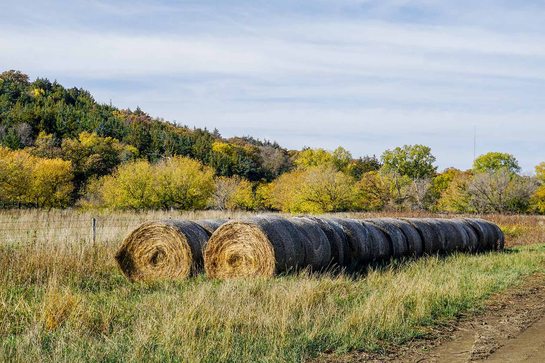 Majestic Ranch property picture 53 of 83