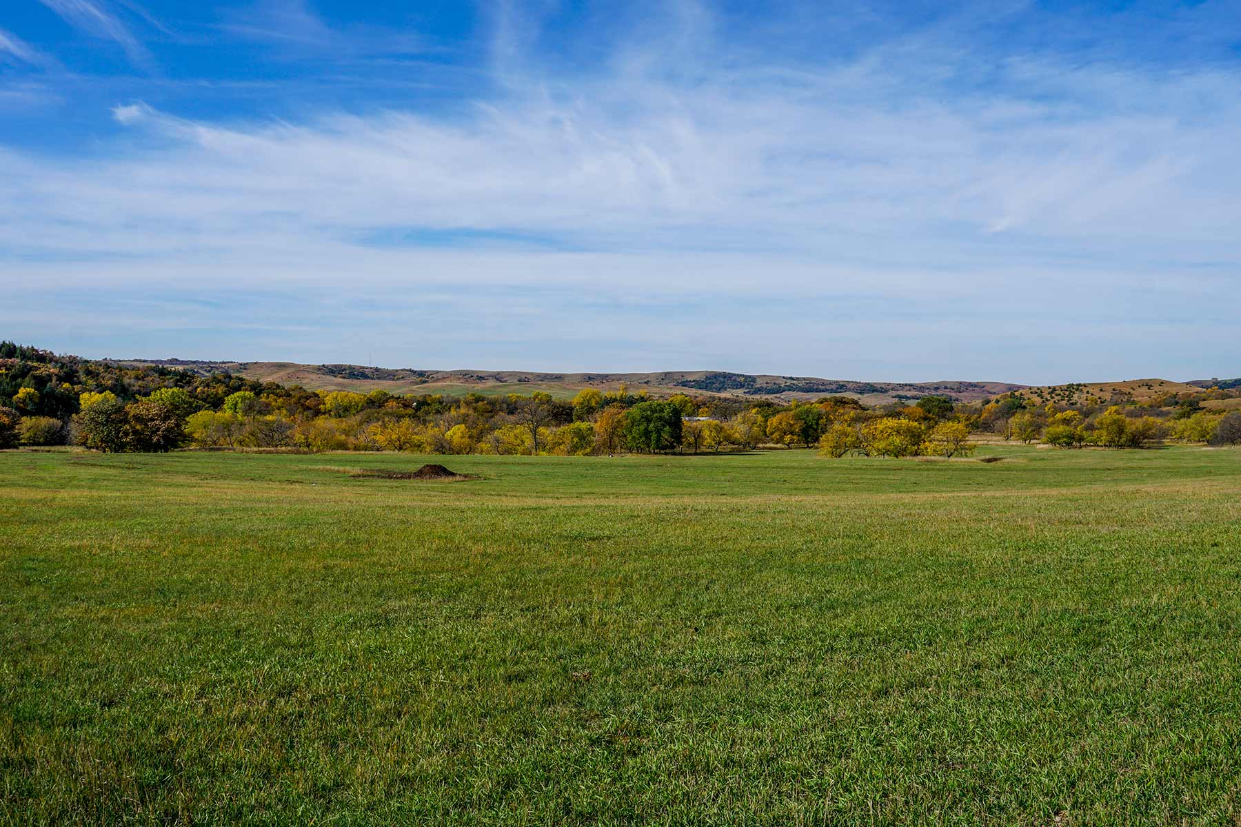 Majestic Ranch property picture 38 of 83