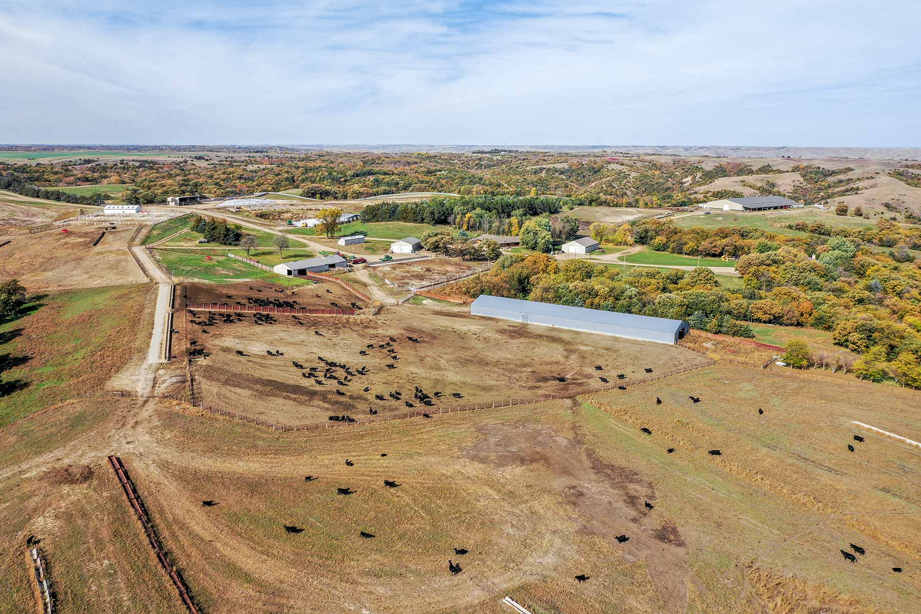 Majestic Ranch property picture 21 of 83