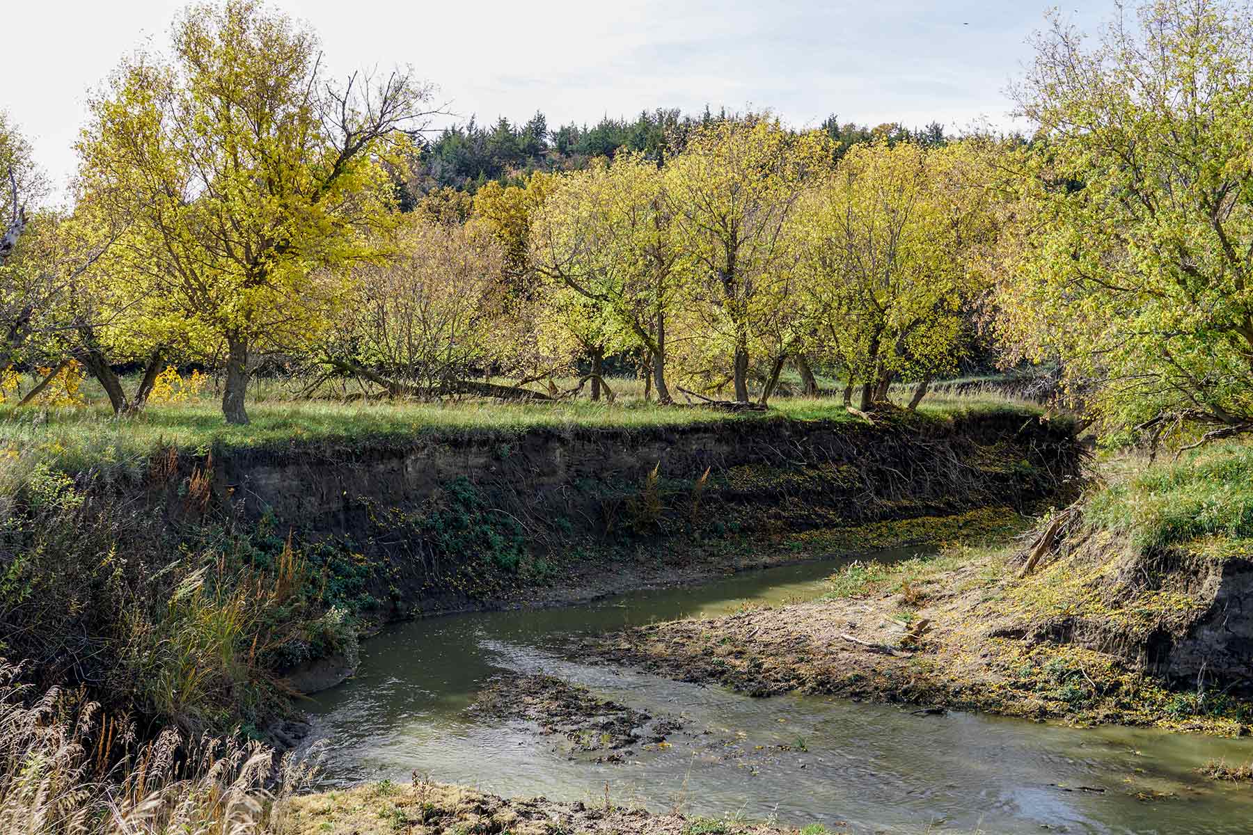 Majestic Ranch property picture 55 of 83