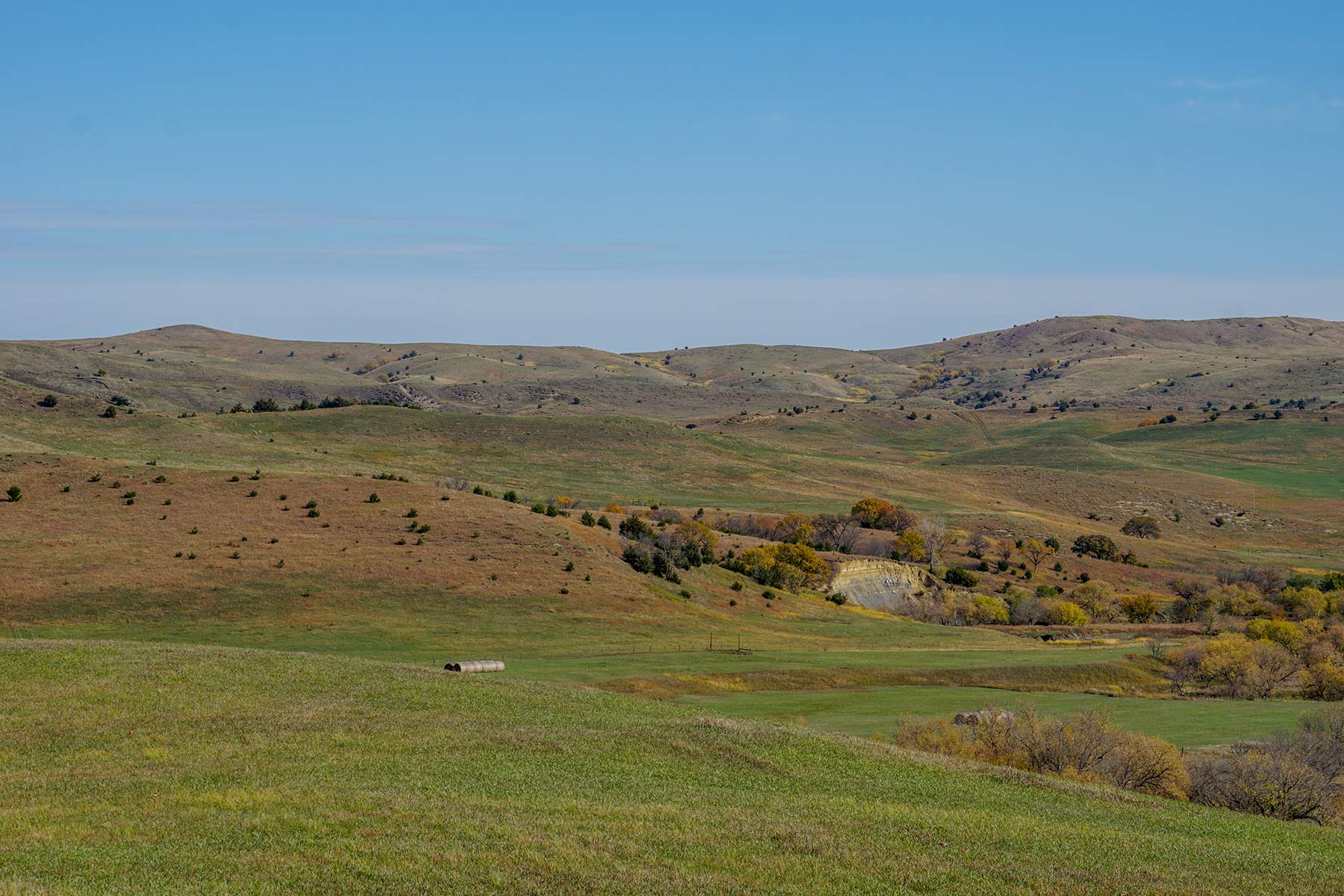Majestic Ranch property picture 64 of 83