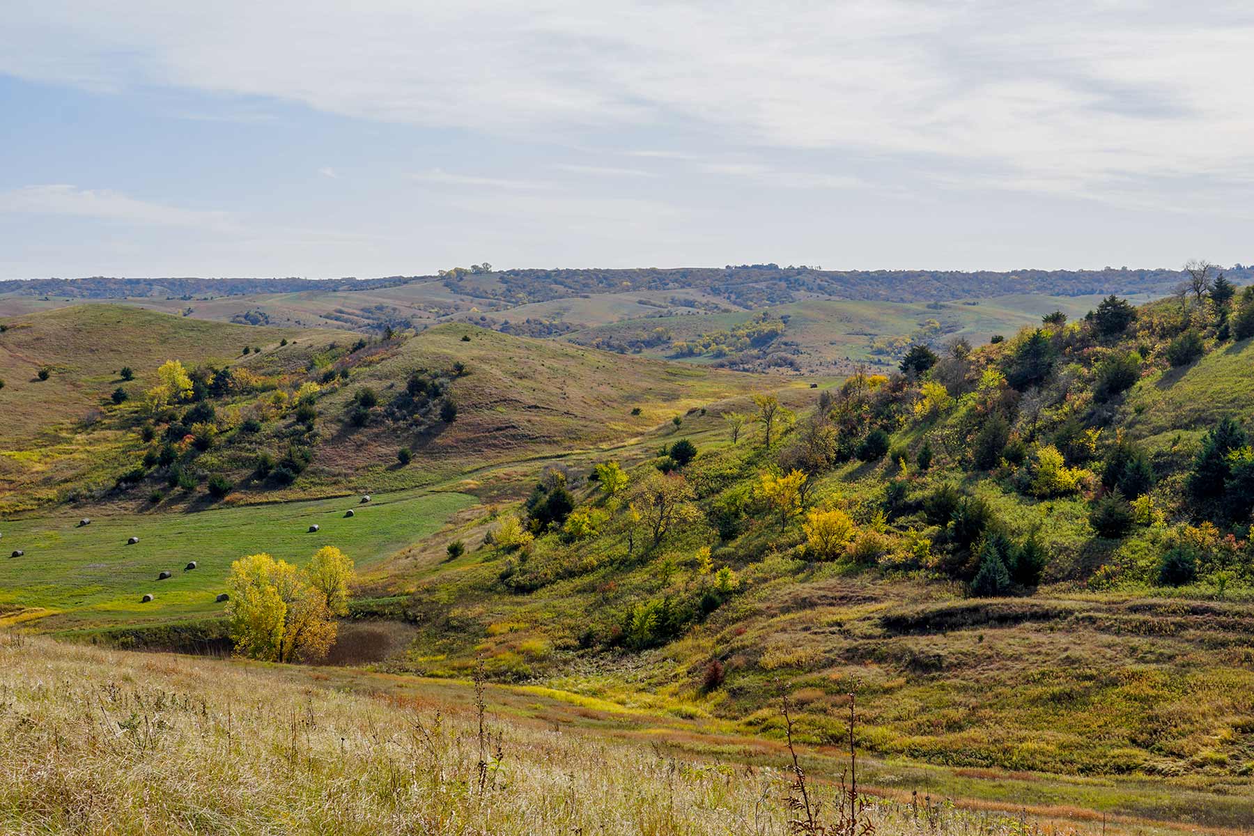 Majestic Ranch property picture 67 of 83