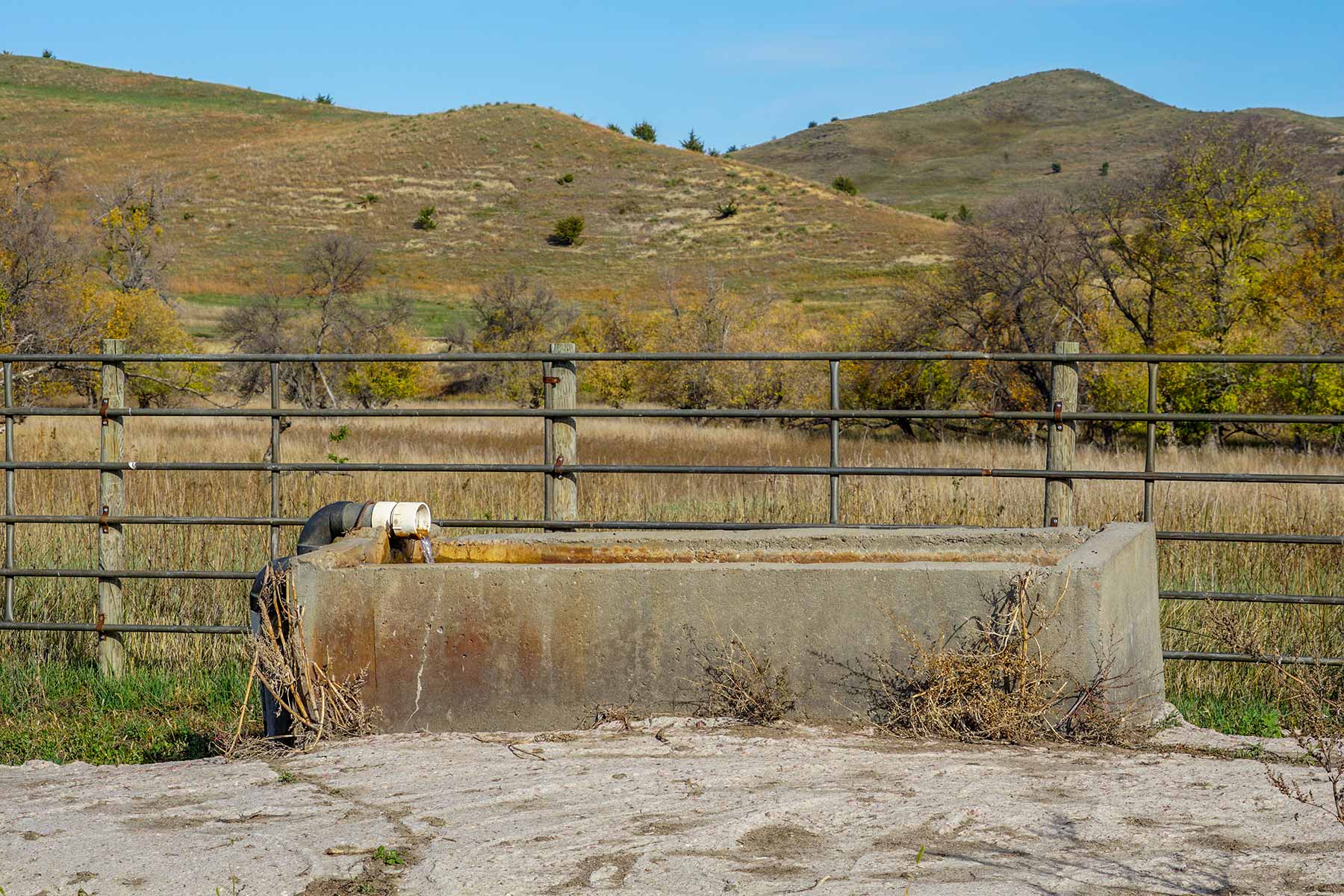 Majestic Ranch property picture 33 of 83