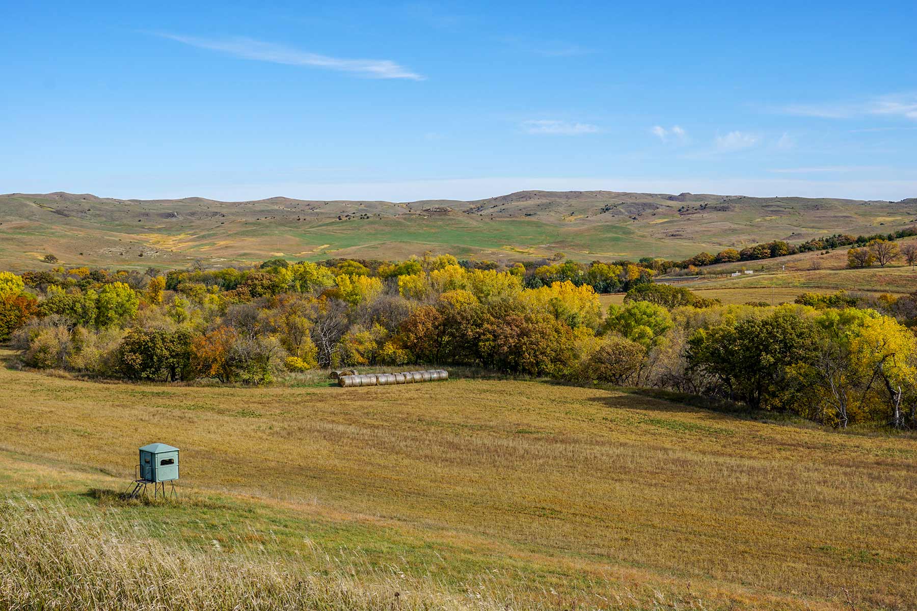 Majestic Ranch property picture 58 of 83