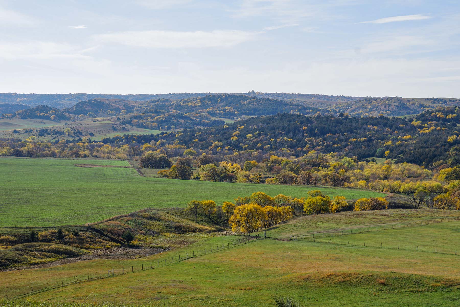 Majestic Ranch property picture 42 of 83