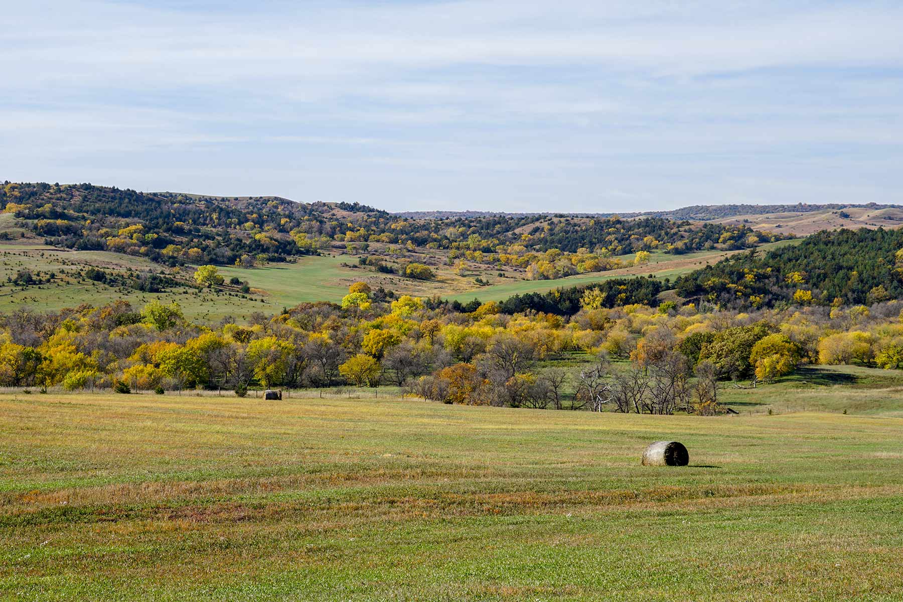 Majestic Ranch property picture 49 of 83