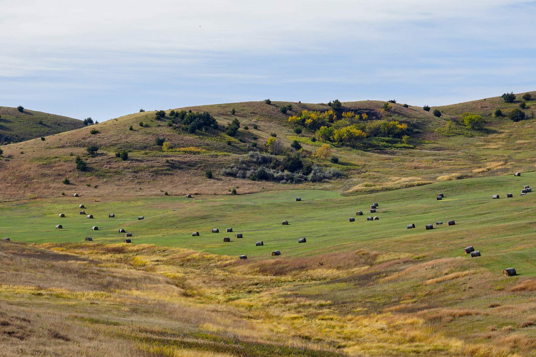 Majestic Ranch property picture 61 of 83