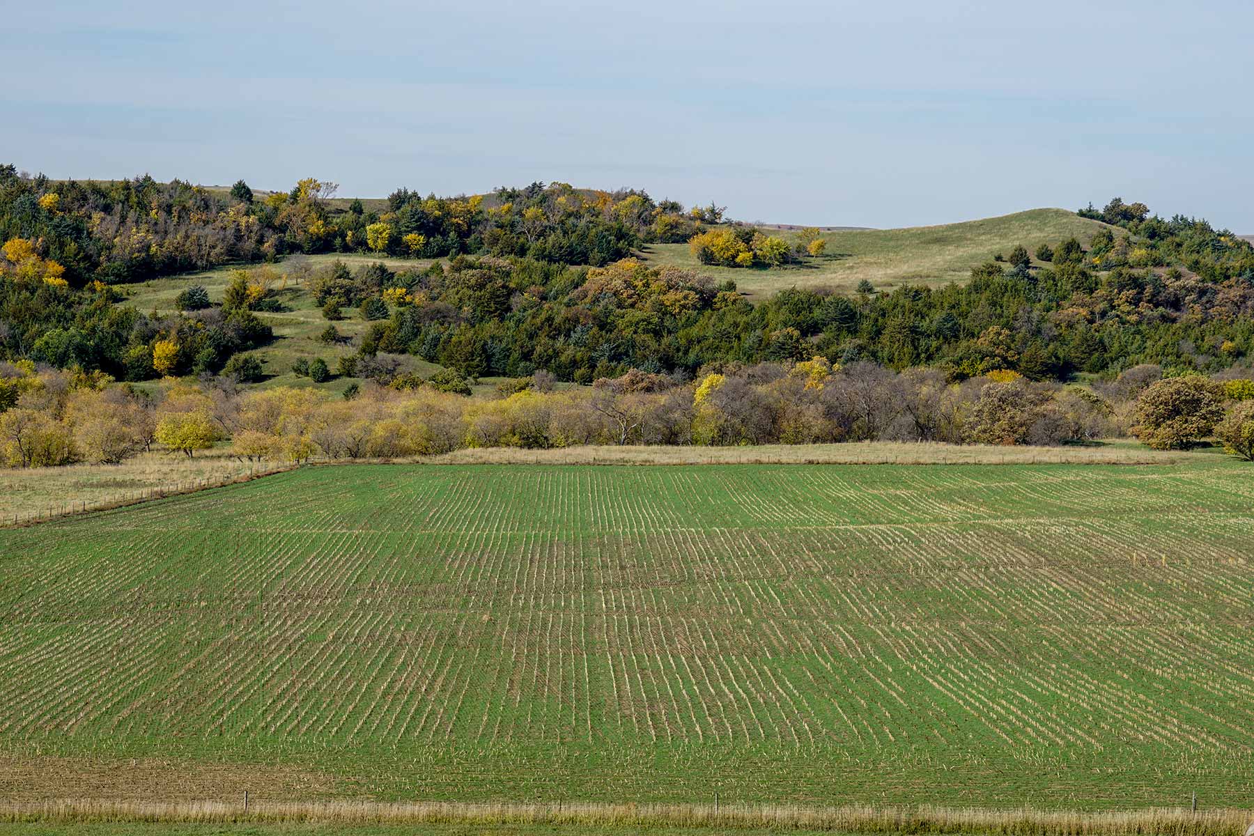 Majestic Ranch property picture 46 of 83