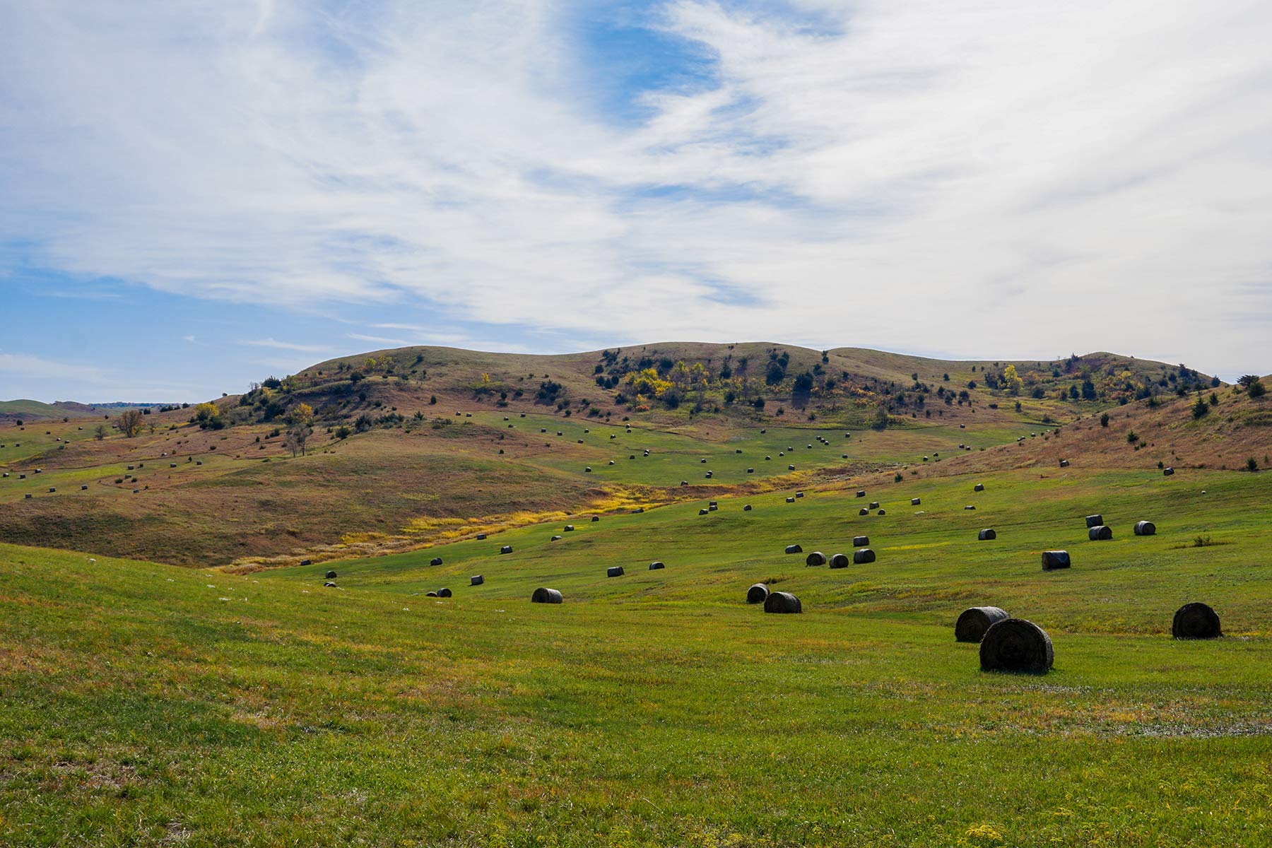 Majestic Ranch property picture 65 of 83