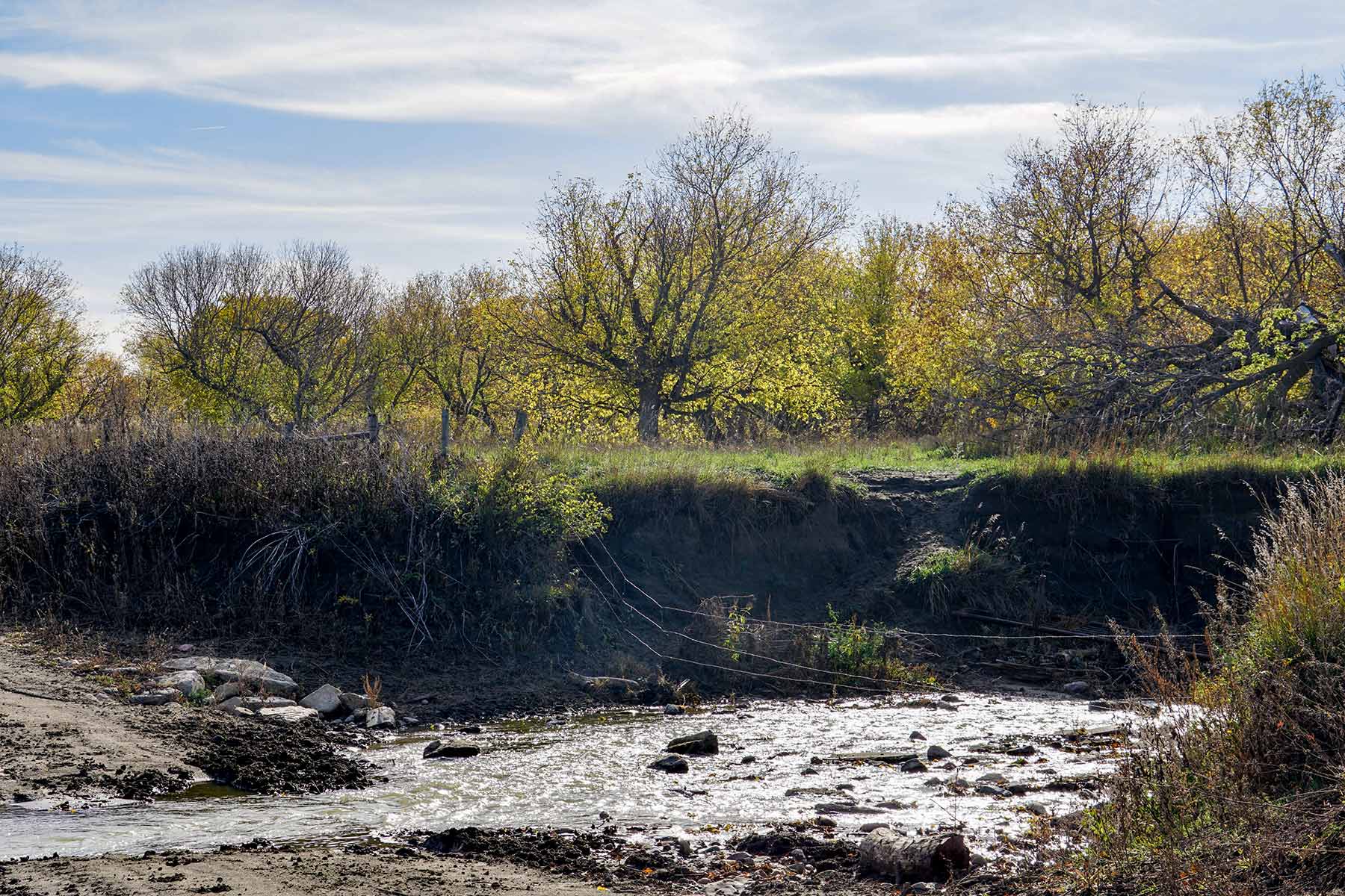 Majestic Ranch property picture 16 of 83