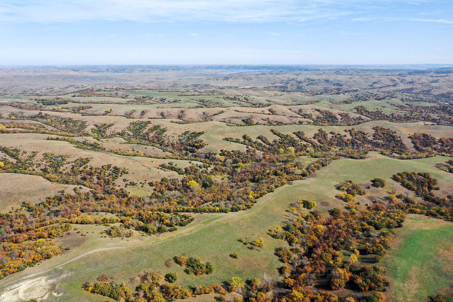 Majestic Ranch property picture 12 of 83