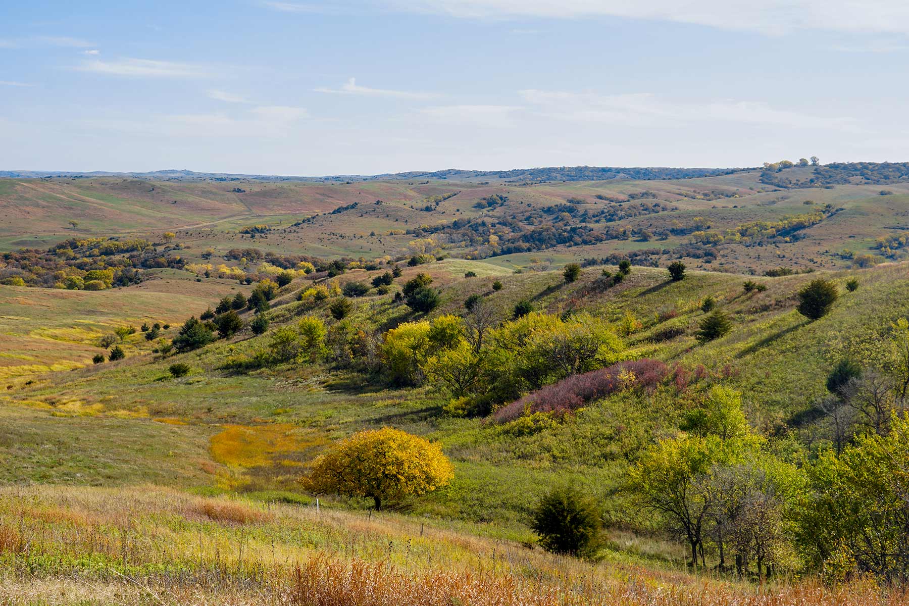 Majestic Ranch property picture 70 of 83