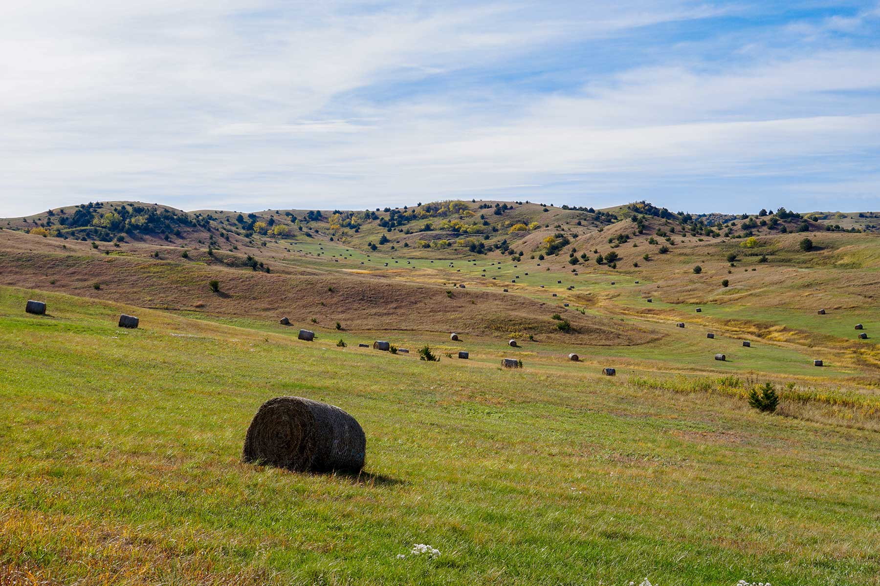 Majestic Ranch property picture 63 of 83