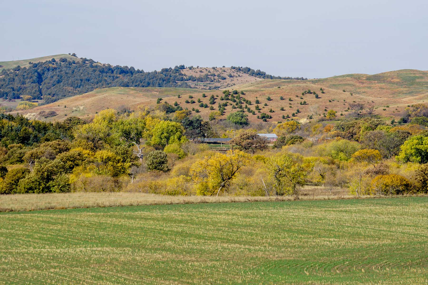 Majestic Ranch property picture 47 of 83