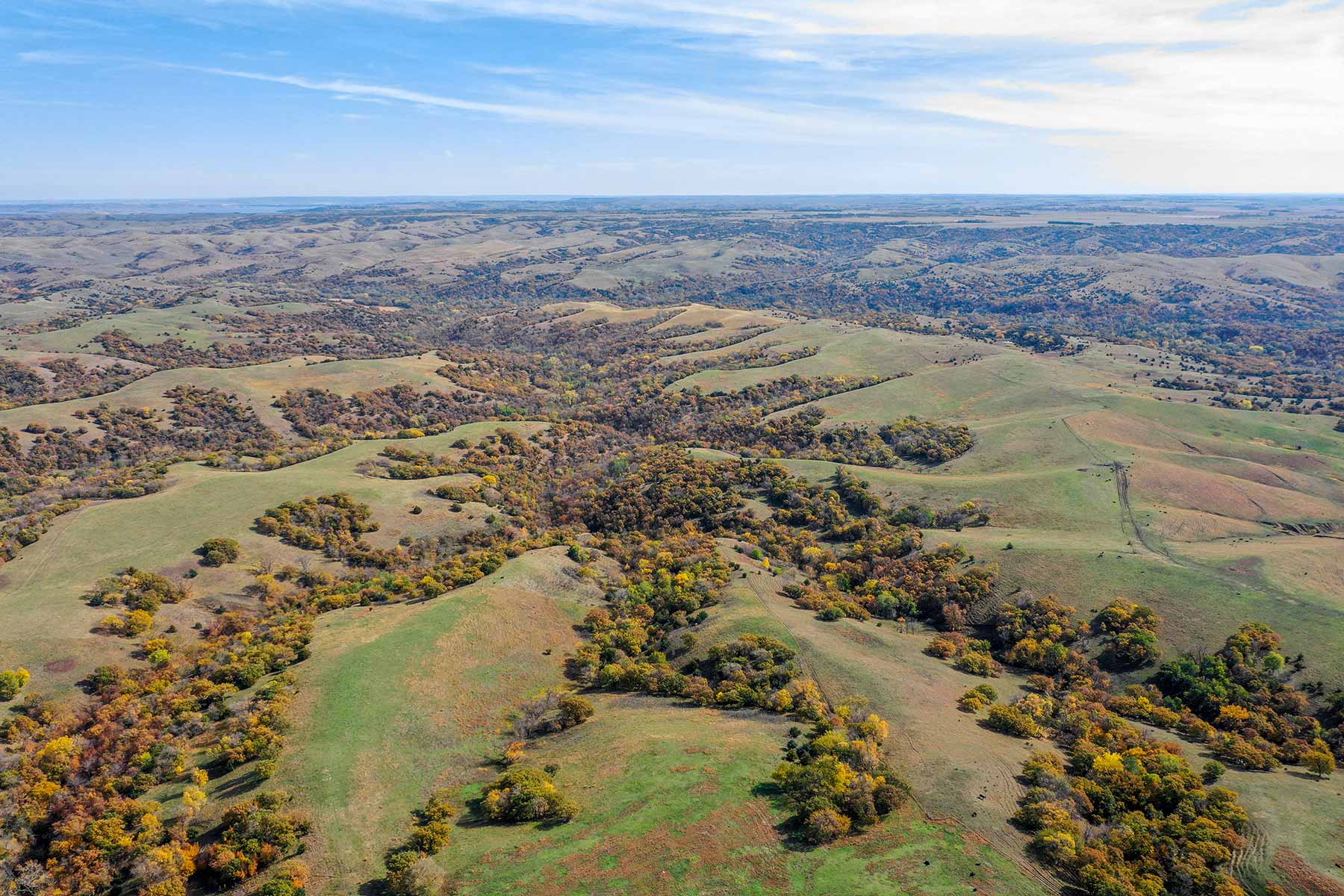 Majestic Ranch property picture 11 of 83