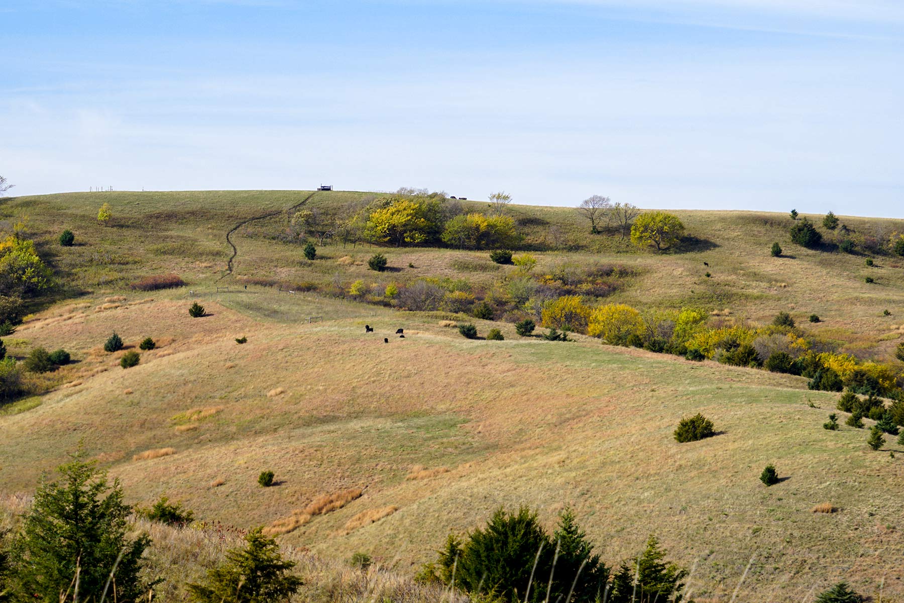 Majestic Ranch property picture 68 of 83