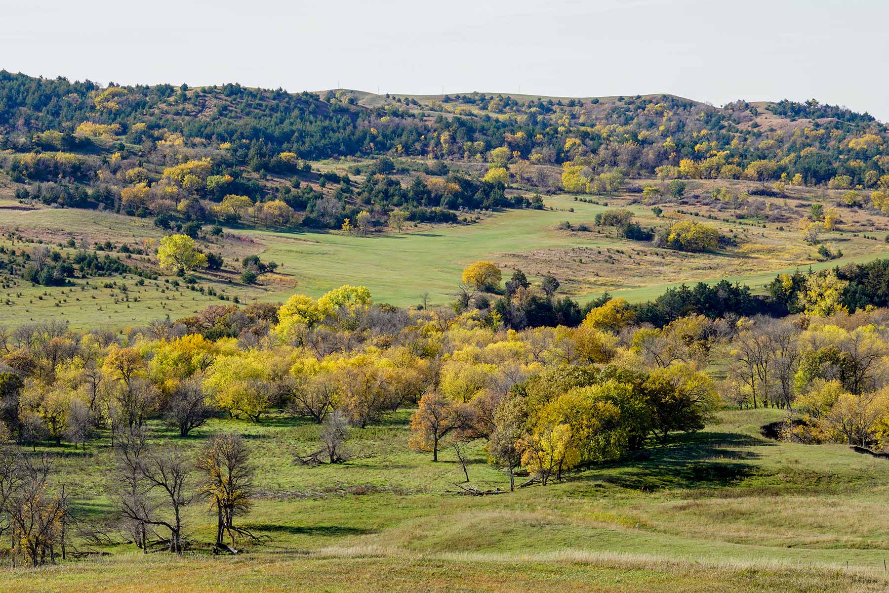 Majestic Ranch property picture 52 of 83