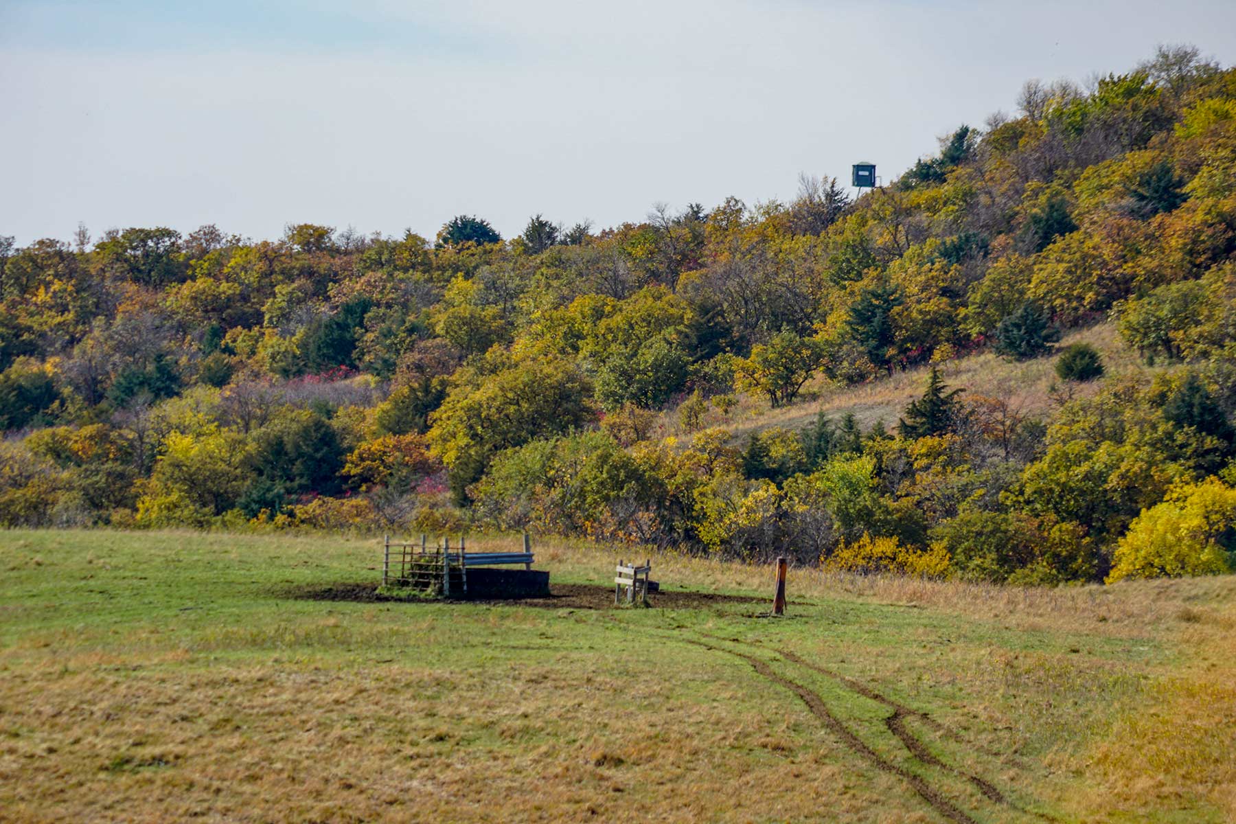 Majestic Ranch property picture 71 of 83