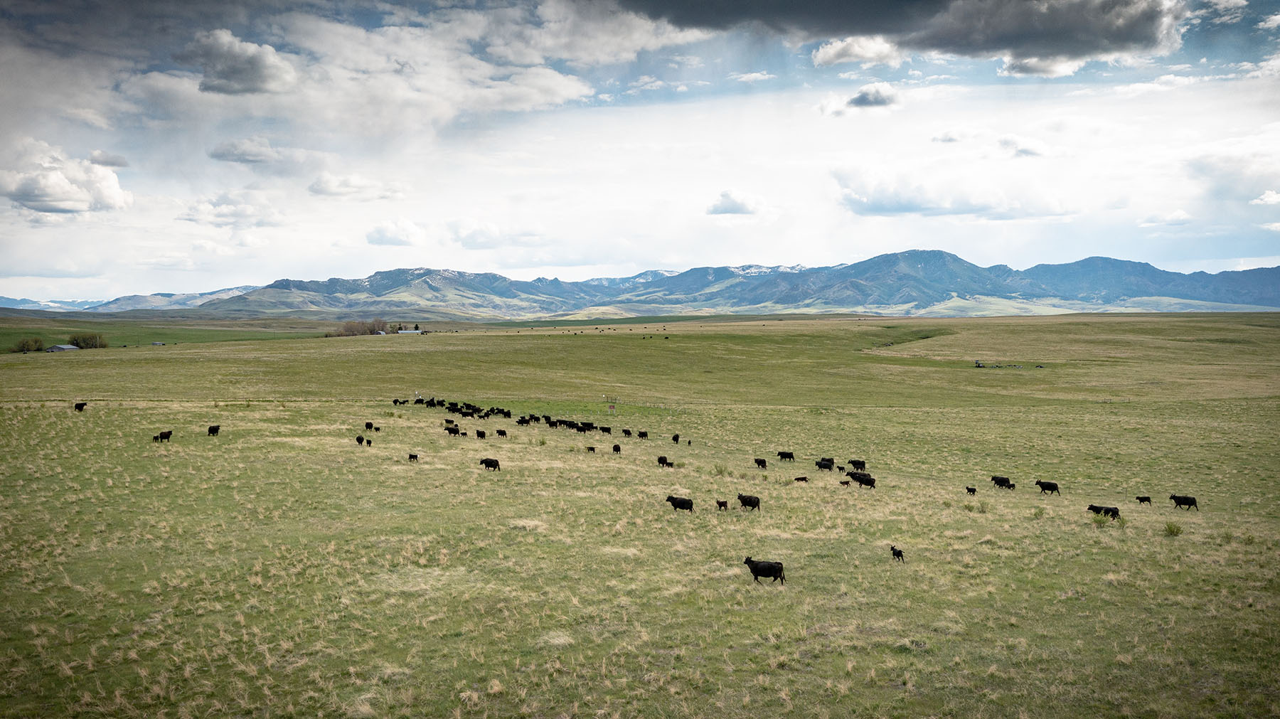 Schrammeck Ranch property picture 12 of 36