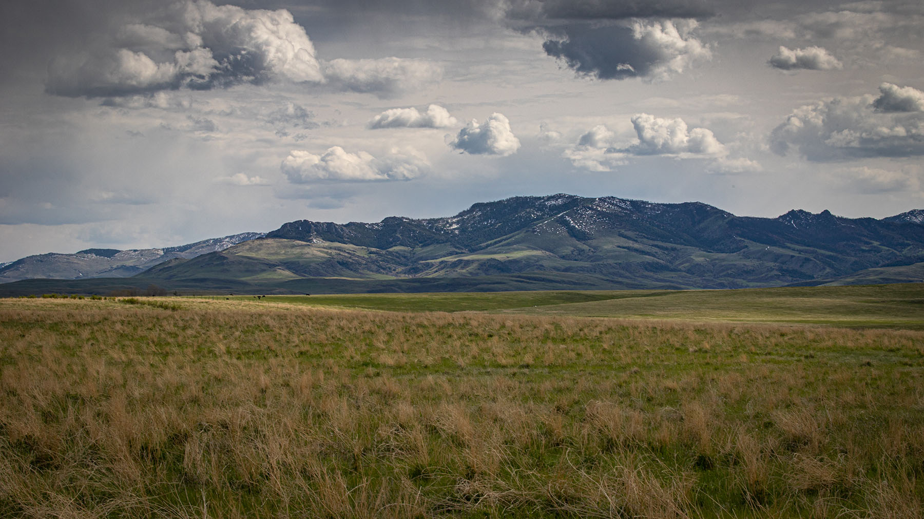 Schrammeck Ranch property picture 3 of 36
